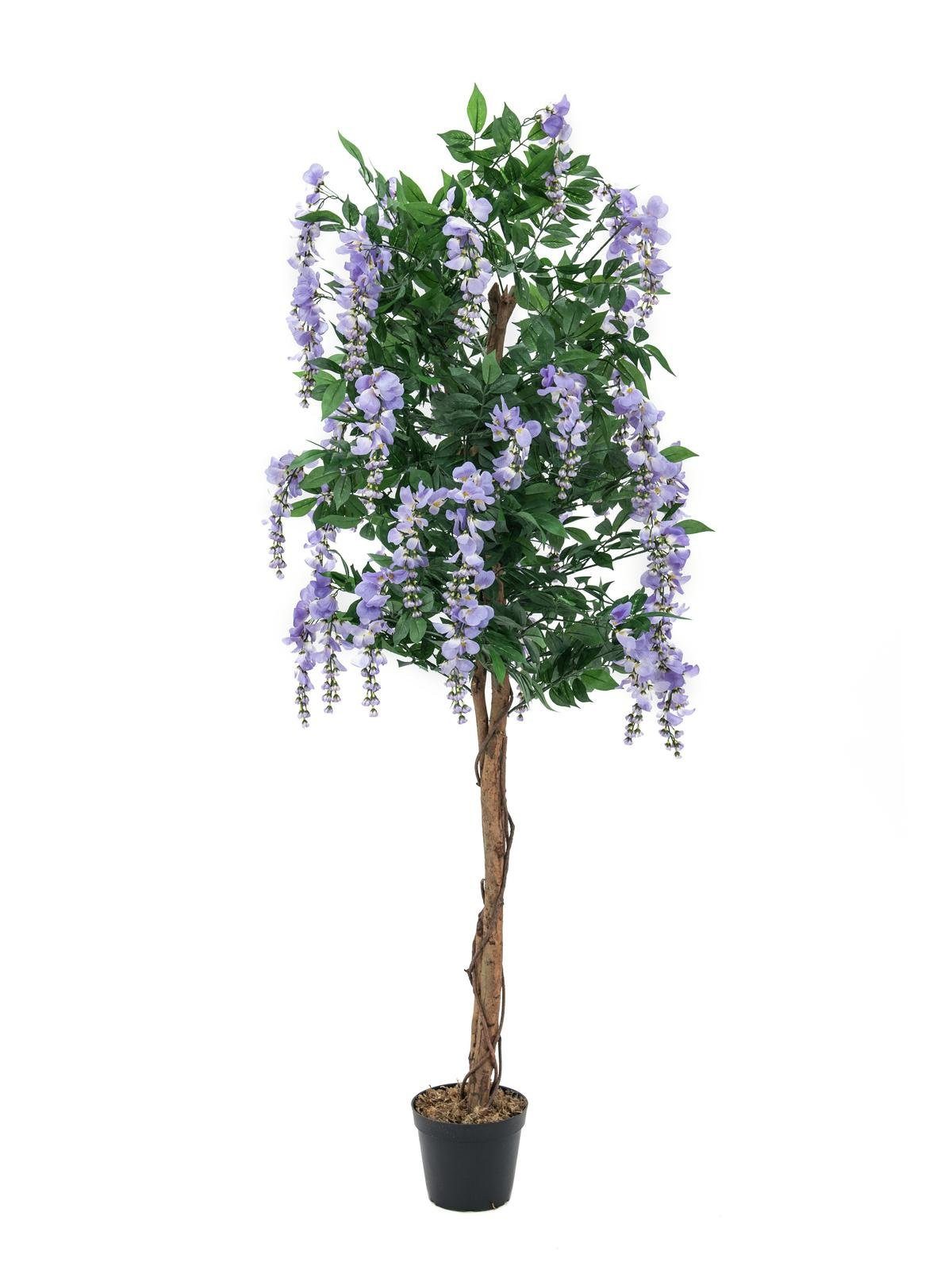 Kunstbaum Goldregenbaum, violett, 180cm, EUROPALMS