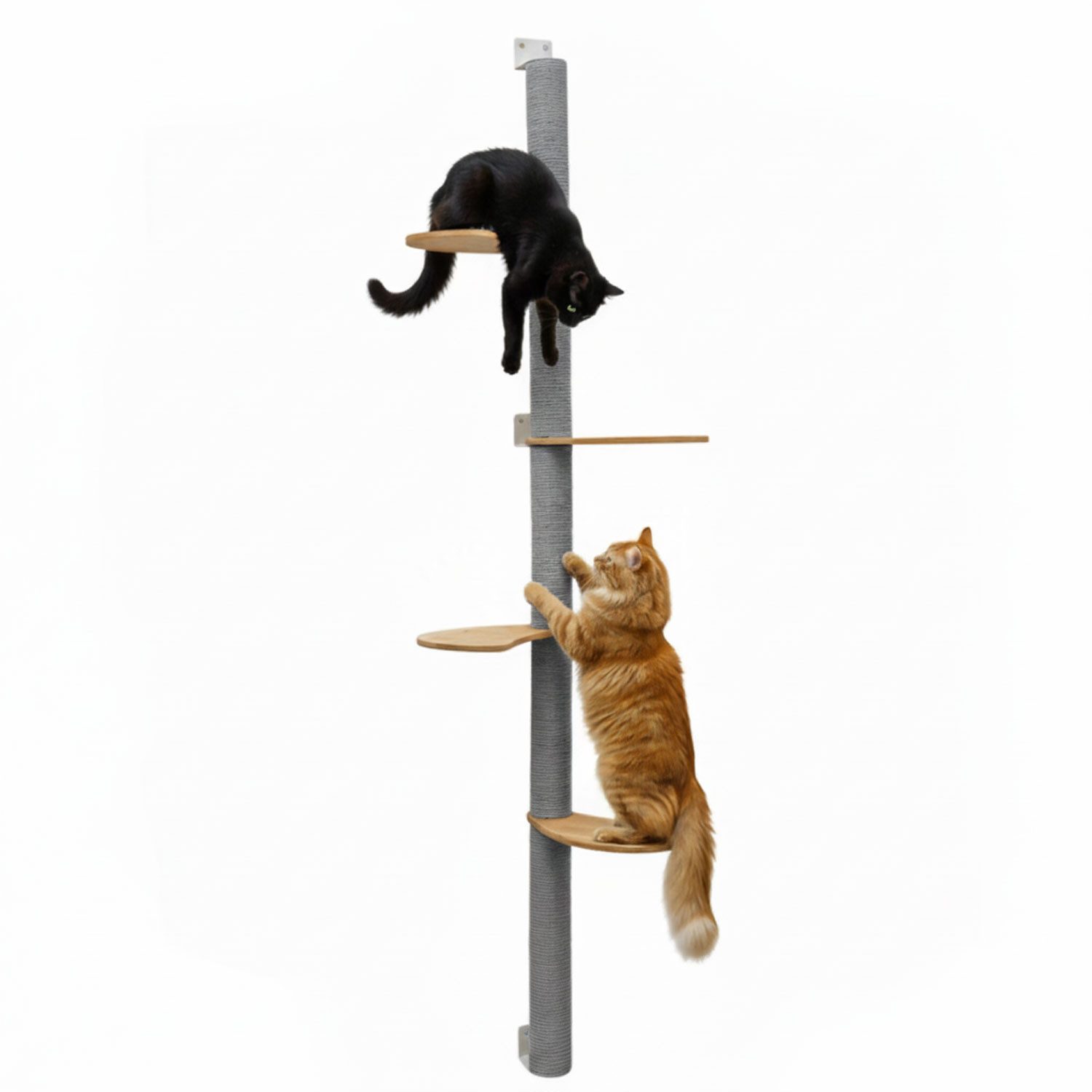 eyepower Kratzbaum zur Wandmontage - 205cm Wandkratzbaum für Katzen mit 4 Bambus Plateaus, Sisalstamm Wand - Katzenkratzbaum platzsparend - Kletterwand Katze