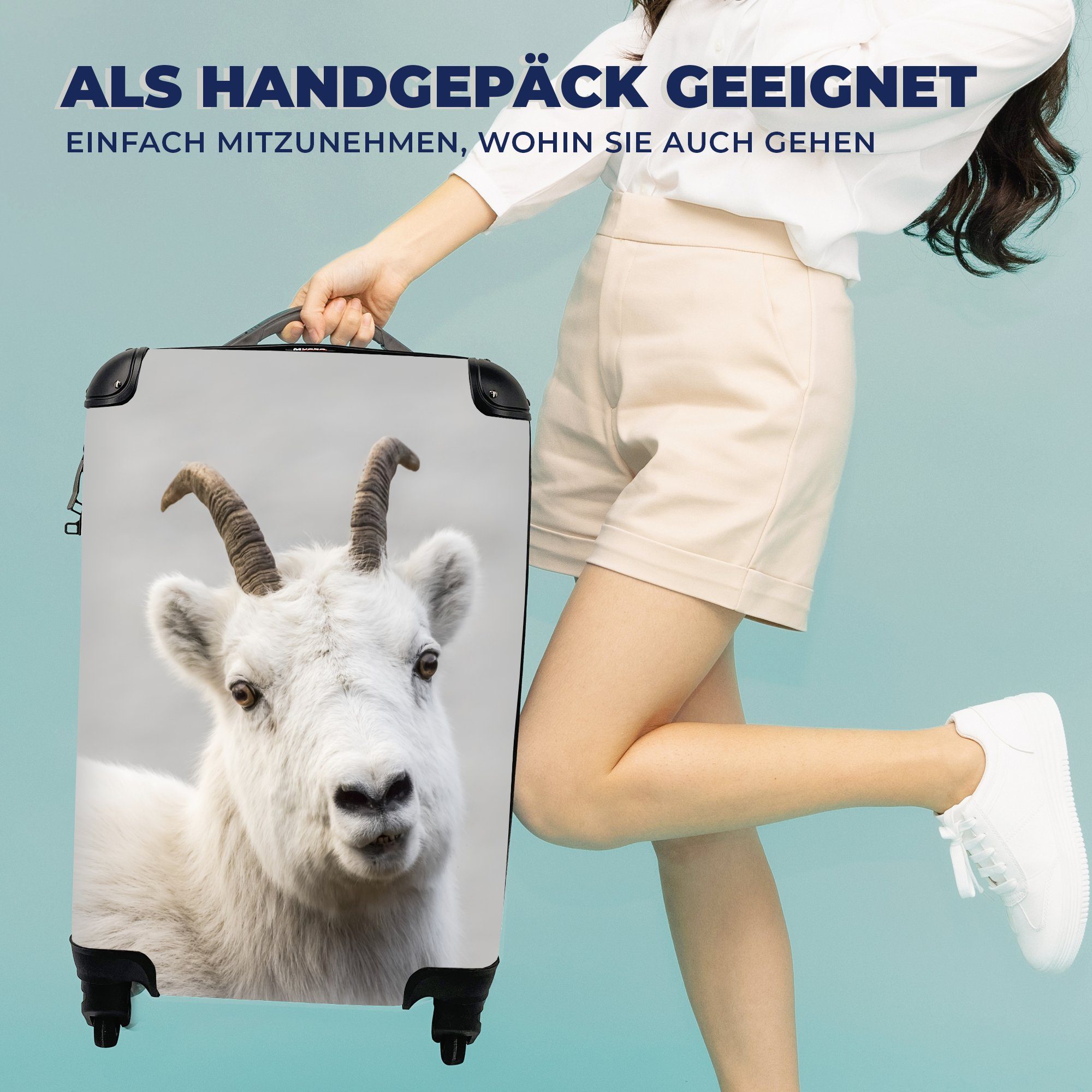 Reisetasche - rollen, Schaf Ferien, 4 Rollen, mit für Reisekoffer Handgepäckkoffer Handgepäck Weiß, MuchoWow Trolley, - Horn