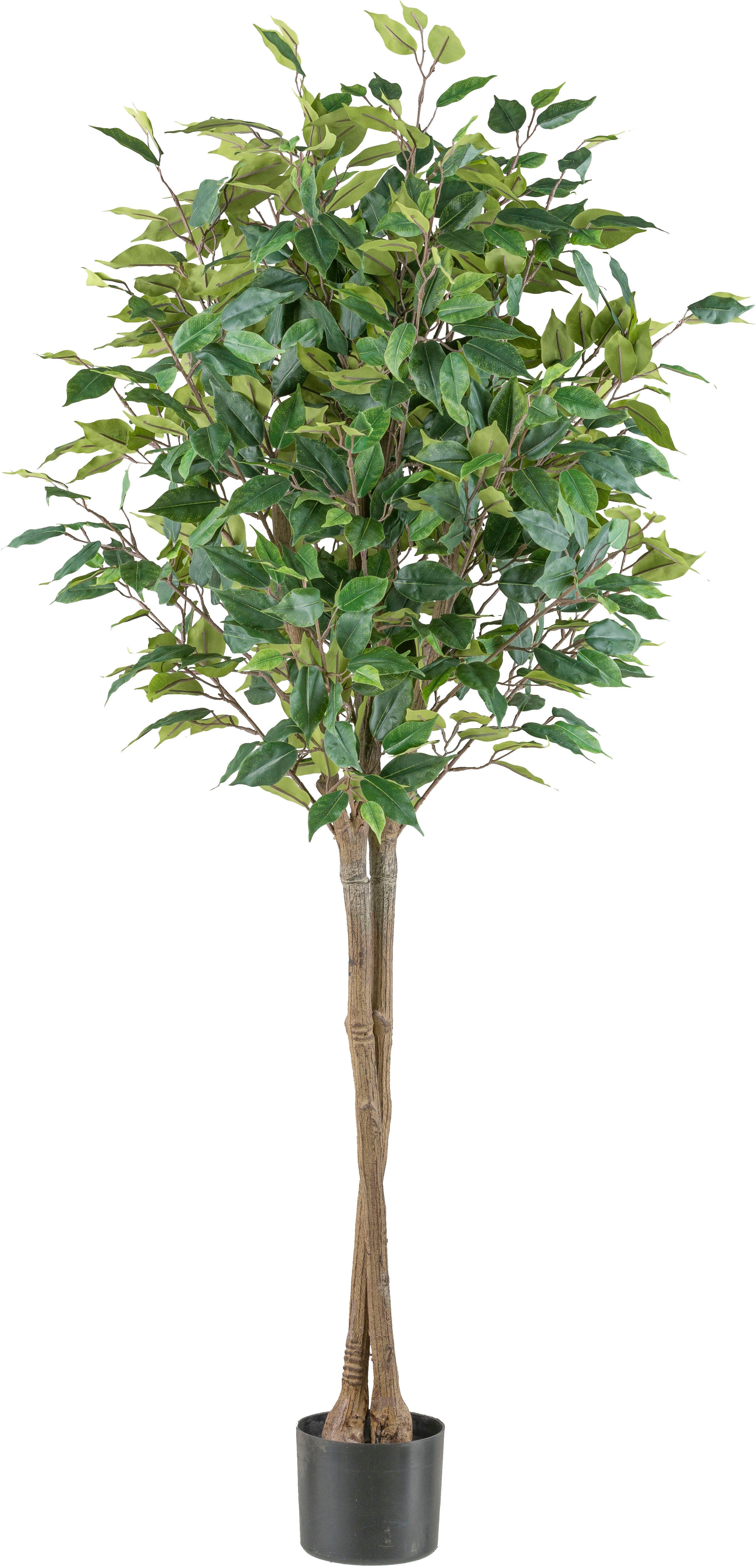 Kunstpflanze Ficus benjamina, Creativ green, Höhe 125 cm, in Hochstamm-Form
