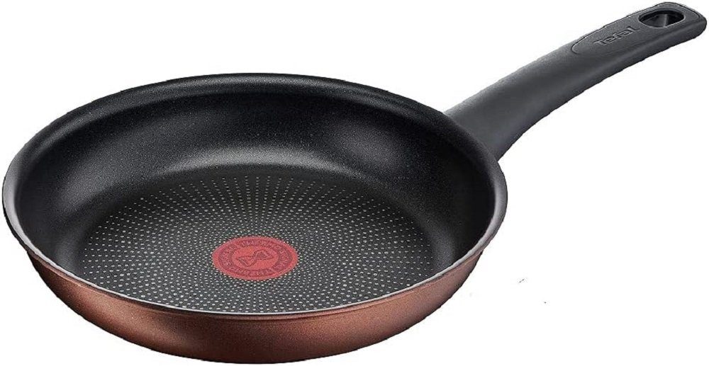 Tefal Bratpfanne G25304 Resource Bratpfanne 24 cm, Titanium Pro Antihaftbeschichtung