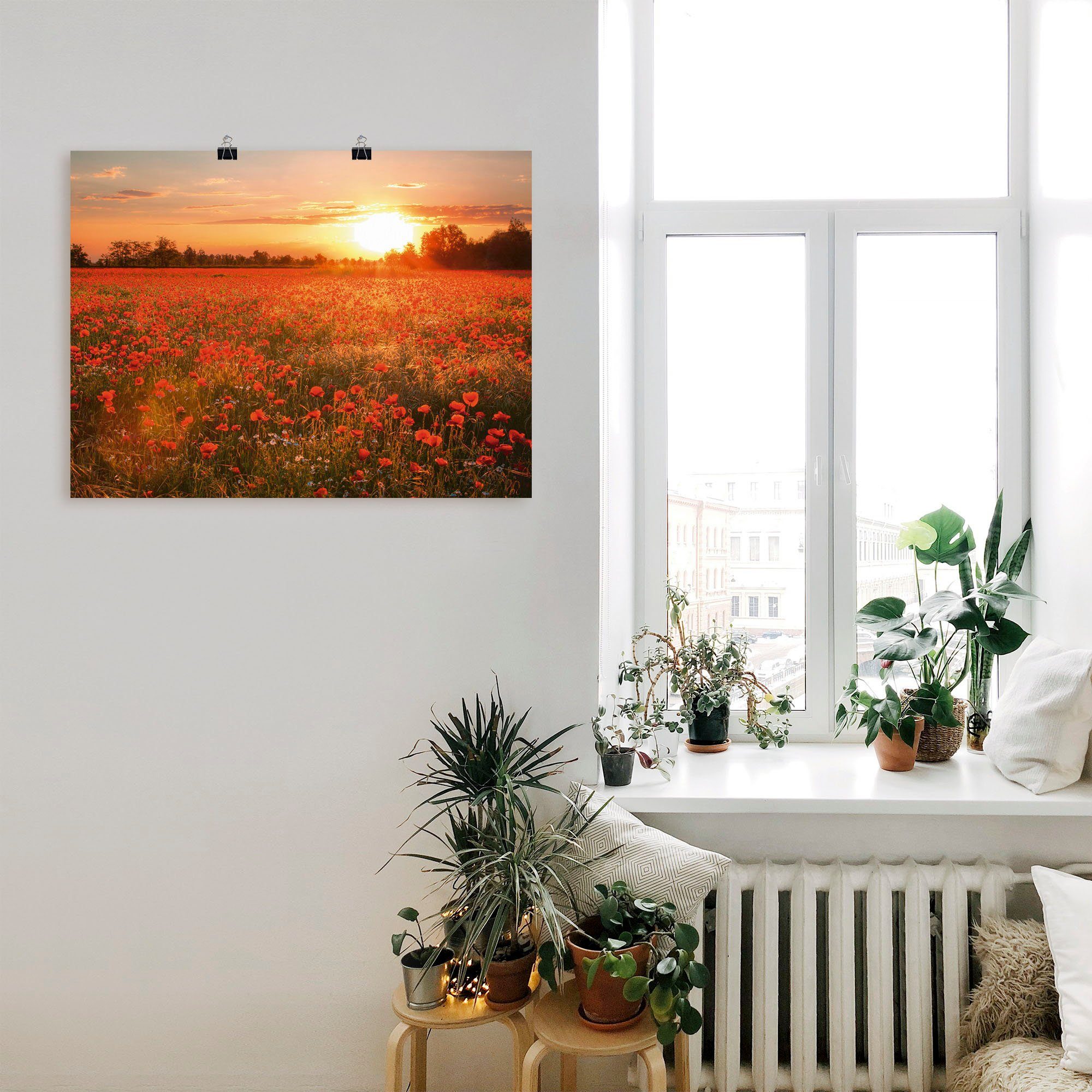 Sonnenuntergang, Mohnblumenfeld Blumenbilder bei Wandbild gedruckt Artland St), (1