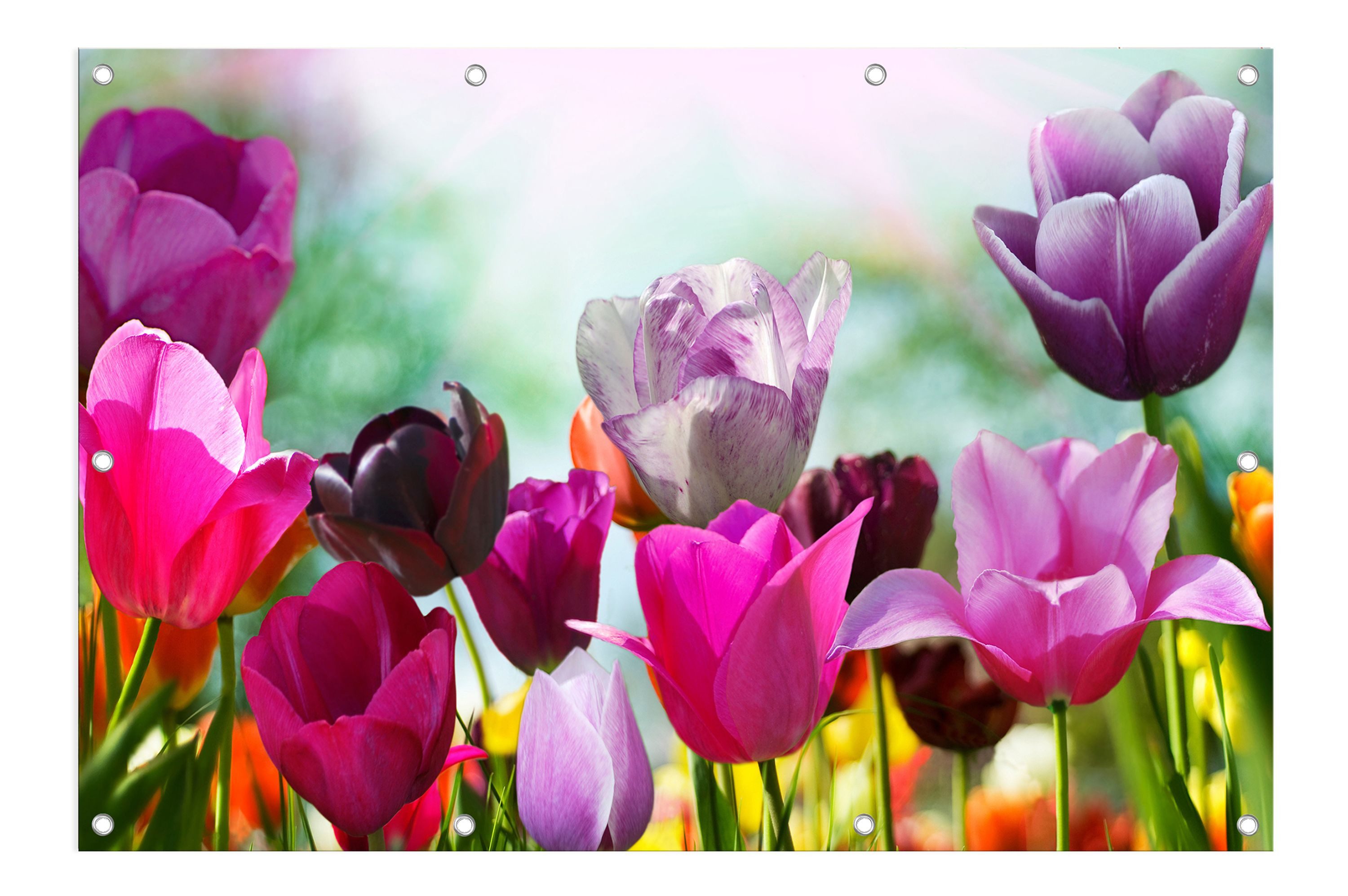 artissimo Poster XXL Garten-Poster 120x80cm Blumen bunt Outdoor-Deko, Outdoor-Poster: Blumen-Wiese Tulpen