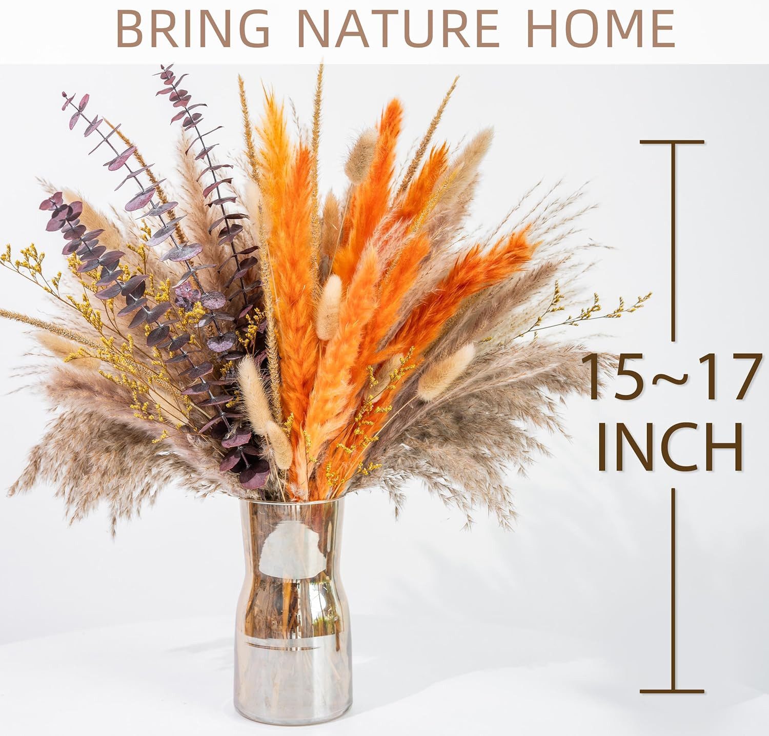 Trockenblume Natürliche Pampasgras und Schilf, Herbstdekoration, Coonoor günstig online kaufen
