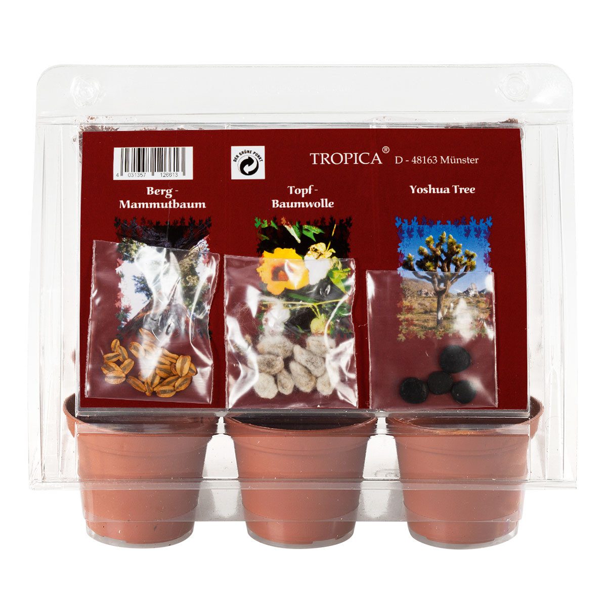 Gewächshaus Mini-Gewächshaus - American National Plants - mit Samen vom Mam günstig online kaufen