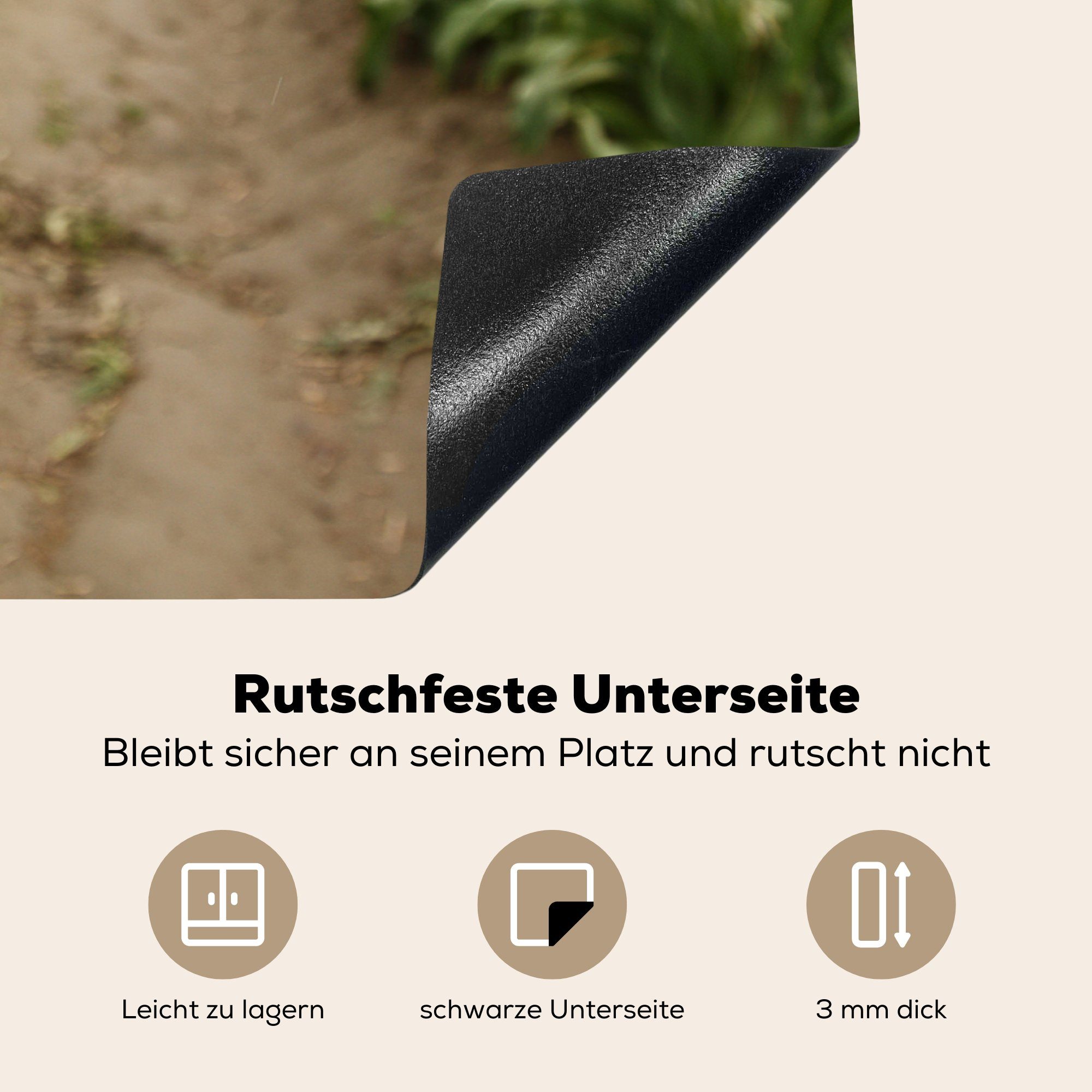 MuchoWow Herdblende-/Abdeckplatte Ein Weg (1 durch 81x52 Tulpenfeld, tlg), Schutz küche, cm, für ein Vinyl, Induktionskochfeld die Ceranfeldabdeckung