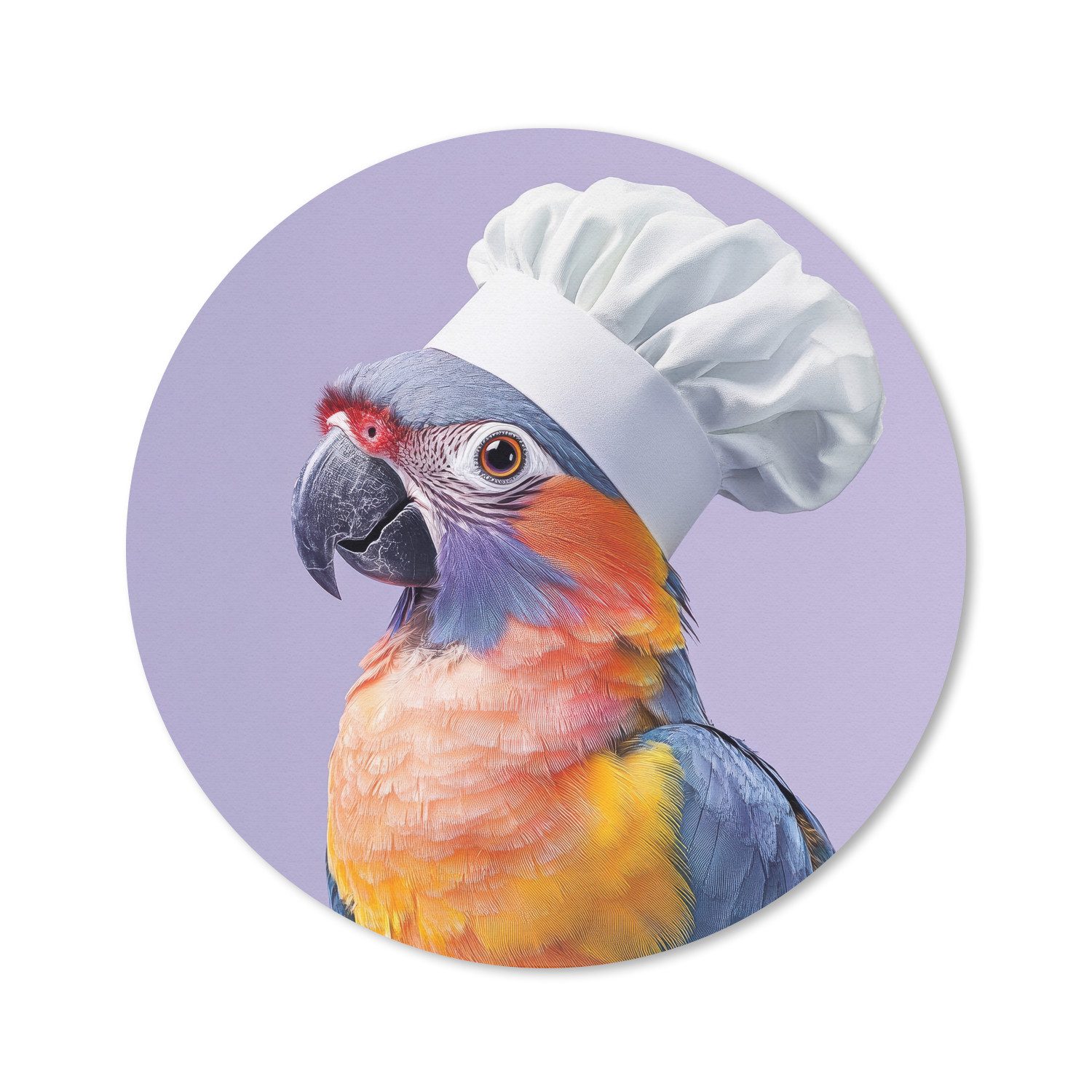 Kochmütze - Sittich - Violett