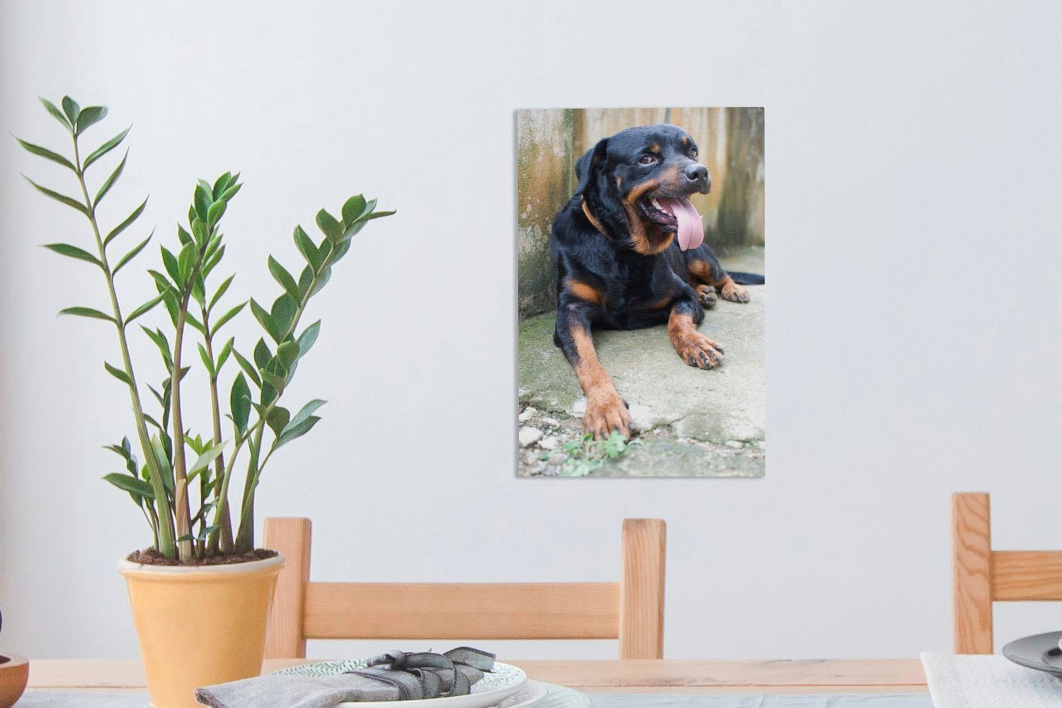 (1 fertig liegt Zackenaufhänger, bespannt Leinwandbild Zaun, OneMillionCanvasses® St), 20x30 Rottweiler Leinwandbild neben inkl. Ein Gemälde, einem erschöpft cm