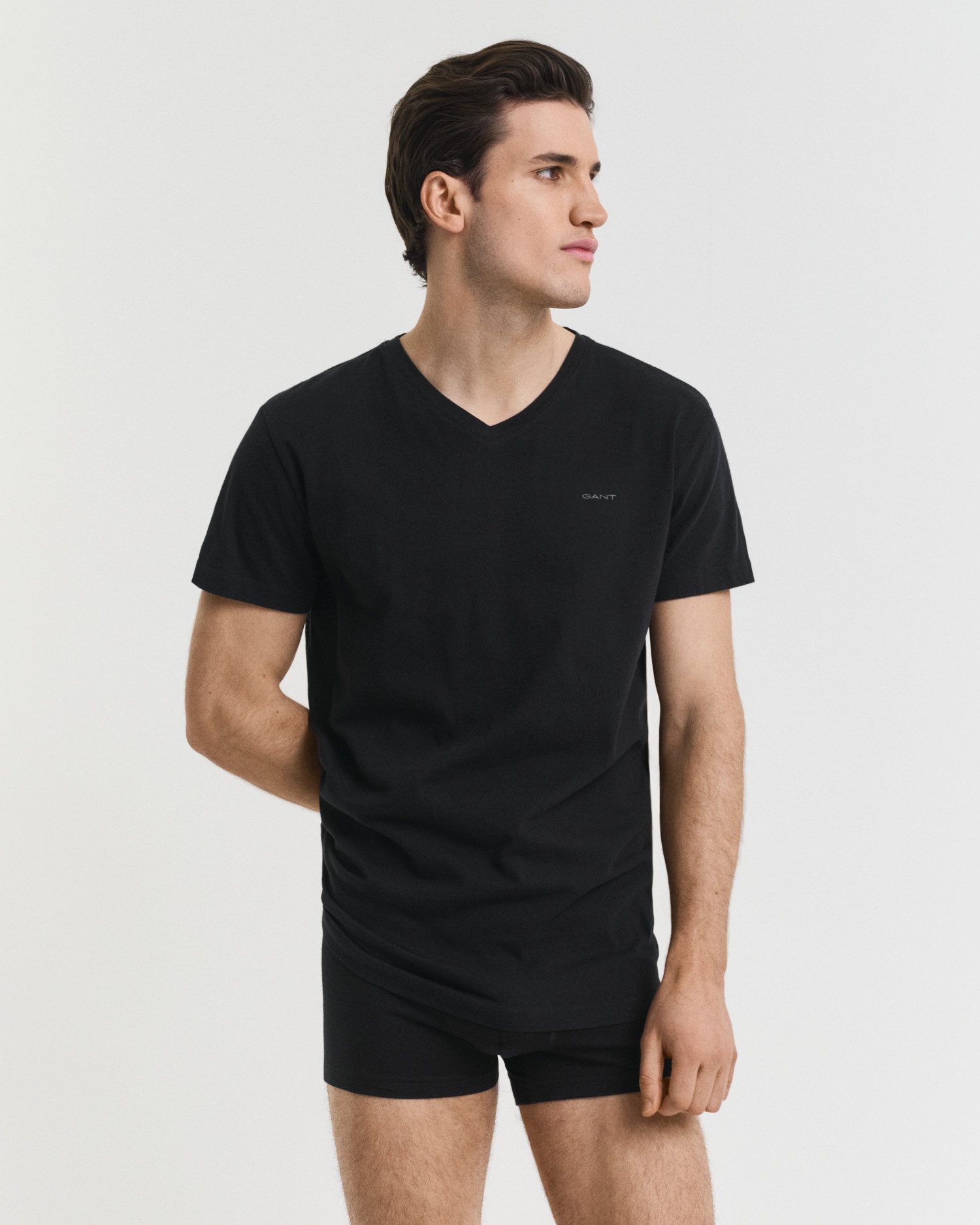 Gant Kurzarmshirt V-NECK T-SHIRT 2-PACK Mit günstig online kaufen
