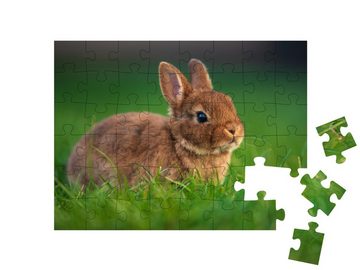 puzzleYOU Puzzle Baby-Kaninchen auf grünem Gras, 48 Puzzleteile, puzzleYOU-Kollektionen Kaninchen, Bauernhof-Tiere