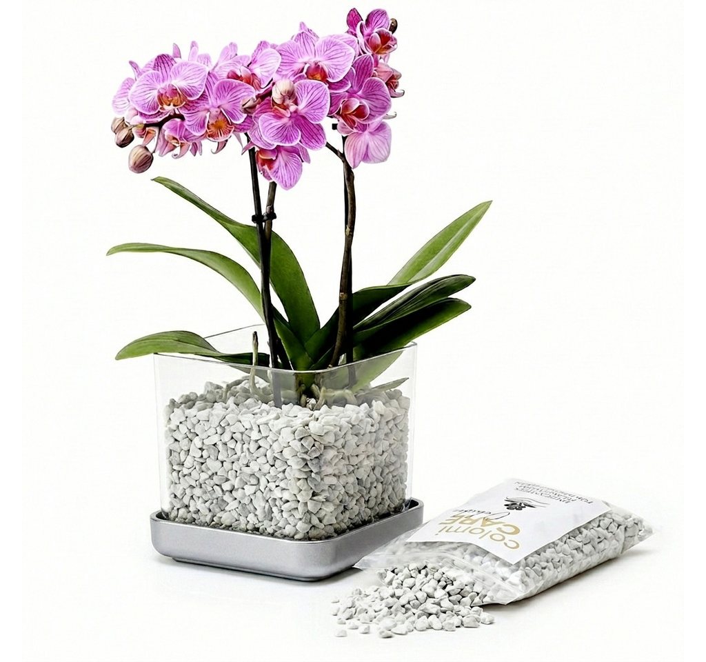colomi Blumentopf ColomiCare Orchideentopf transparent + 1 L Orchideengranulat – Set (Spar-Set, 1x Orchideentopf 1x 1Liter Orchideengranulat)