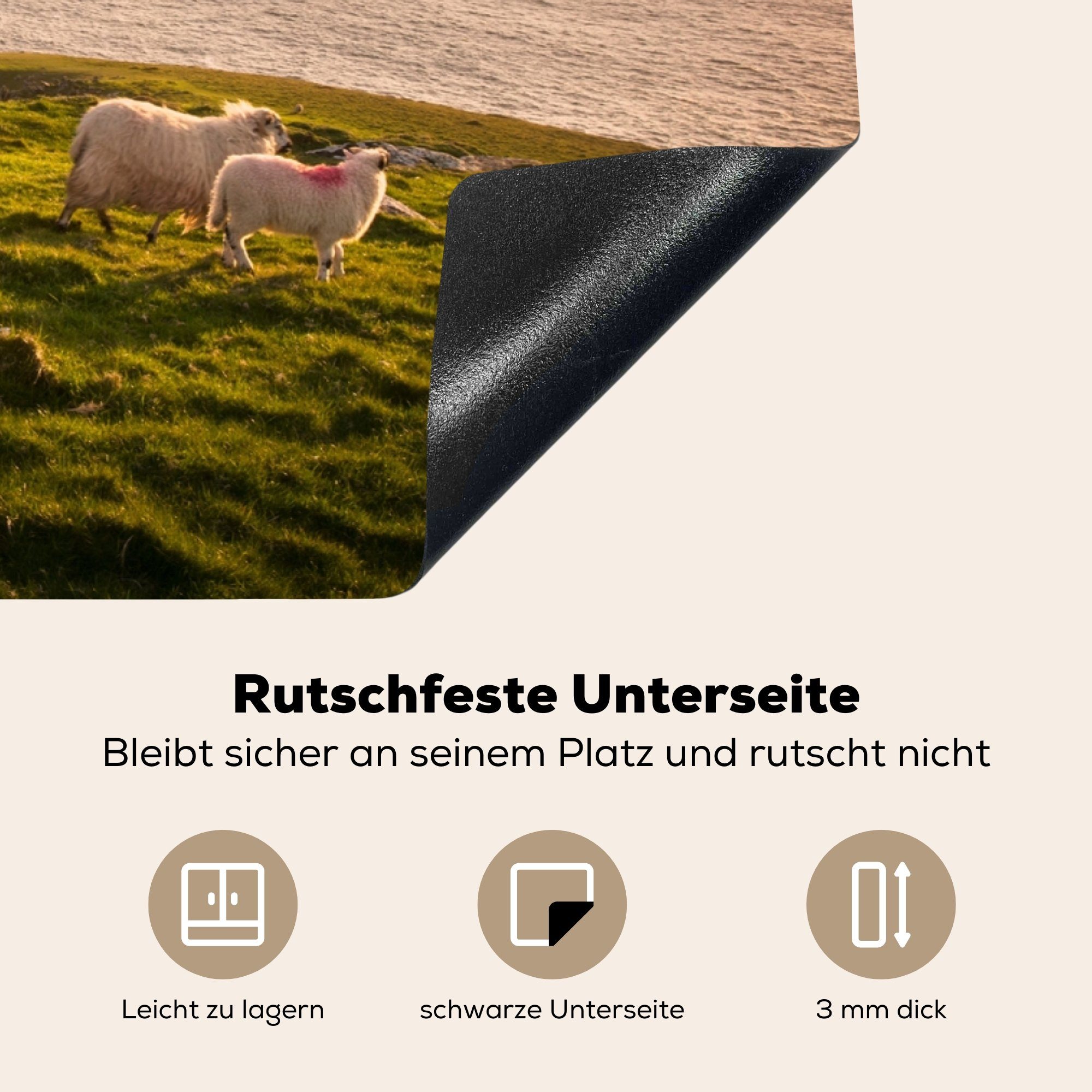 die Herdblende-/Abdeckplatte 81x52 küche, an für MuchoWow tlg), Schafe Induktionskochfeld irischen (1 cm, Schutz Küste, Ceranfeldabdeckung Vinyl, der