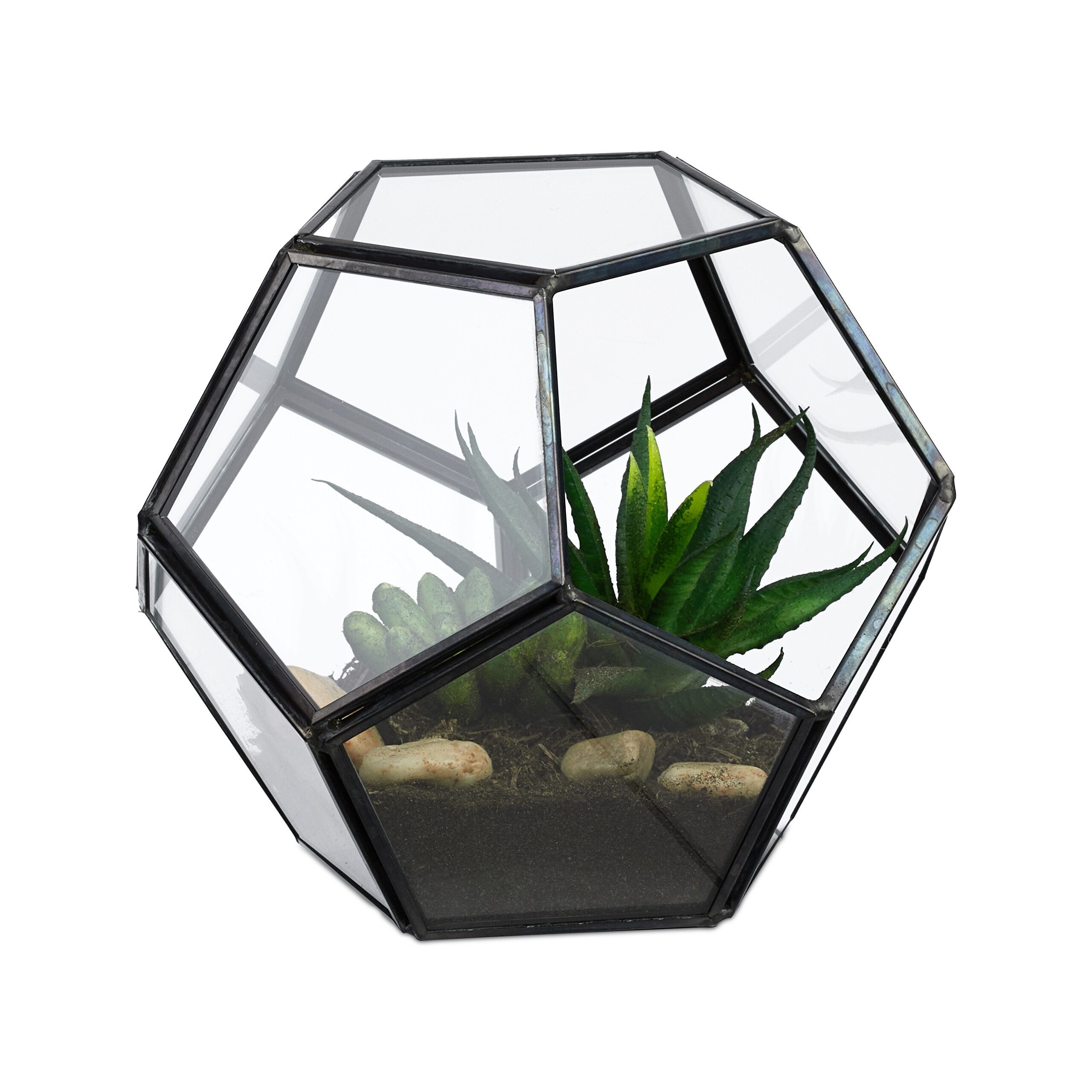relaxdays Dekovase Geometrisches Pflanzenterrarium aus Glas günstig online kaufen