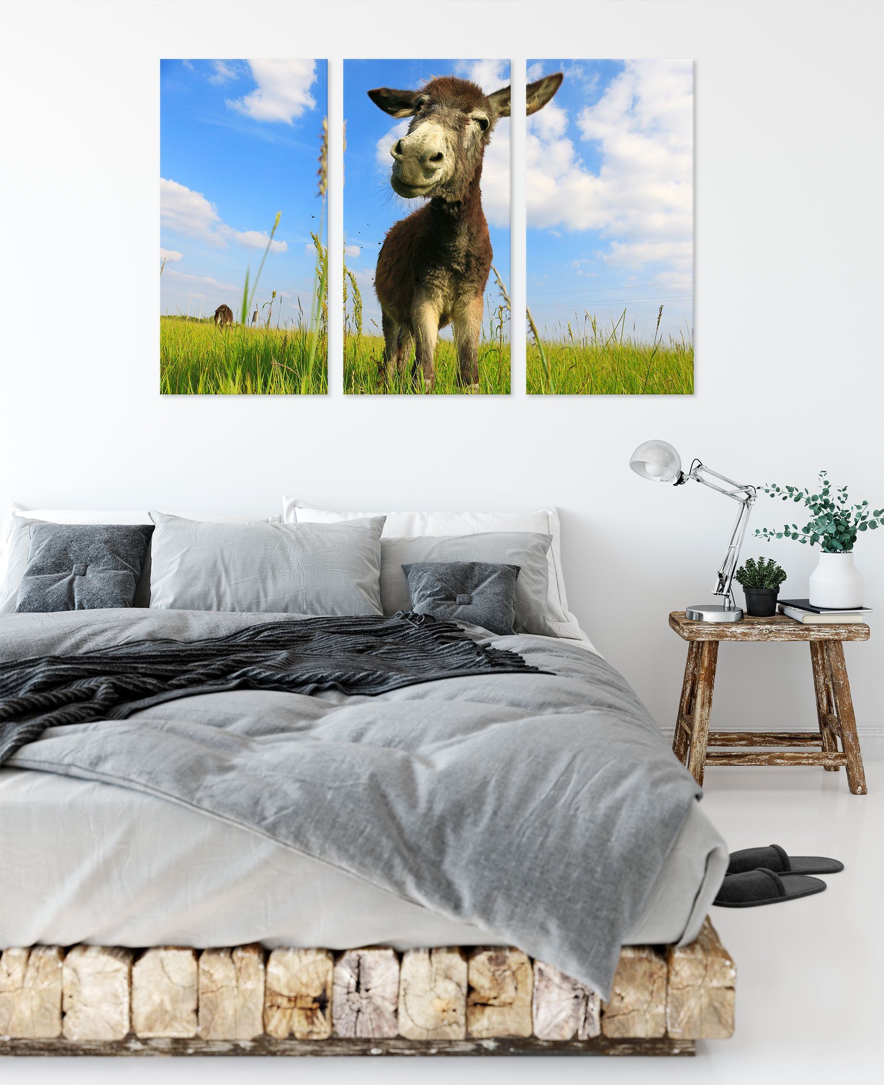 St), Pixxprint Esel Leinwandbild in einem (120x80cm) inkl. Feld, bespannt, Zackenaufhänger einem (1 Leinwandbild 3Teiler fertig Feld in Esel