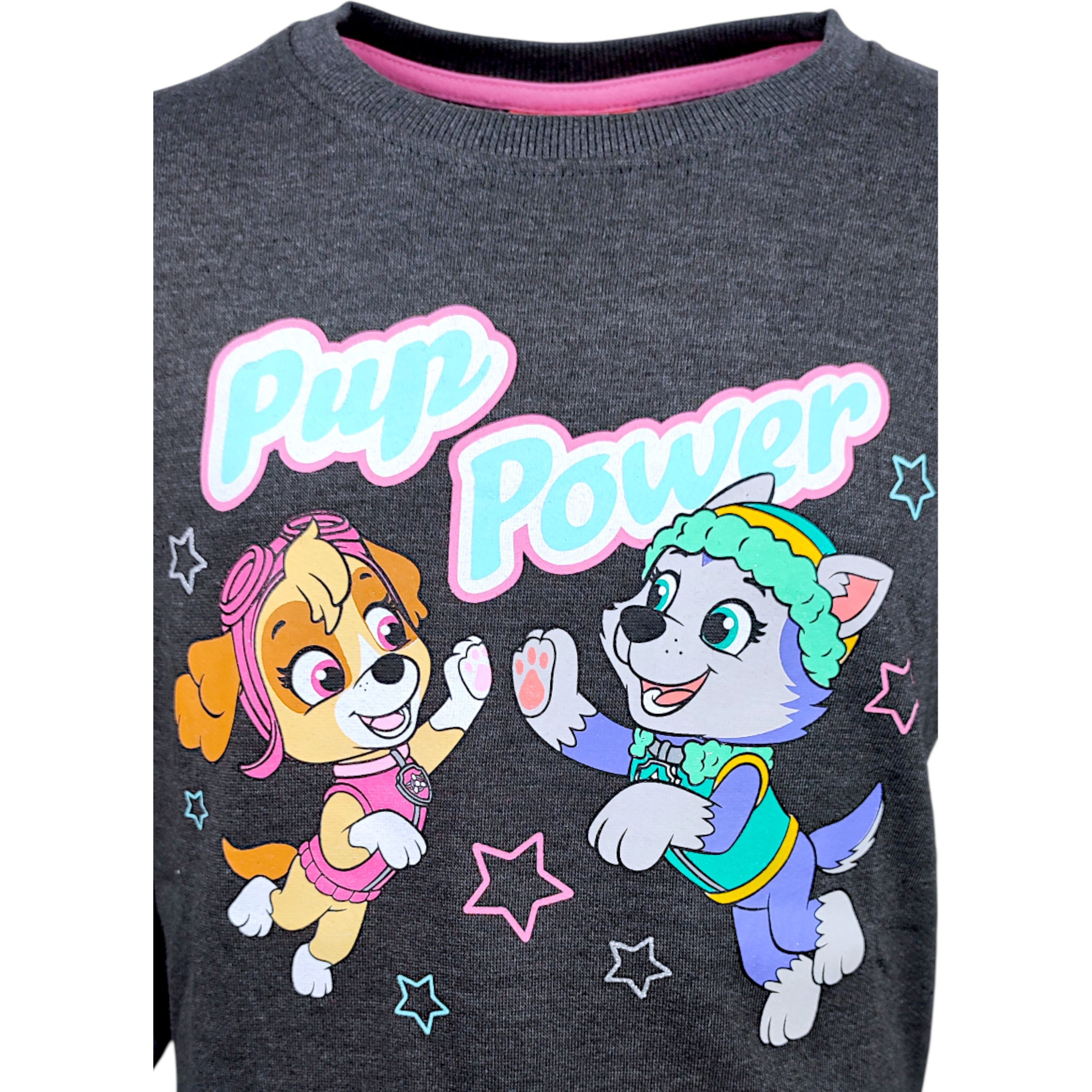 PAW PATROL Sweatshirt Skye & Everest Kinder Sweat-Pullover Größe 98 - 128 cm