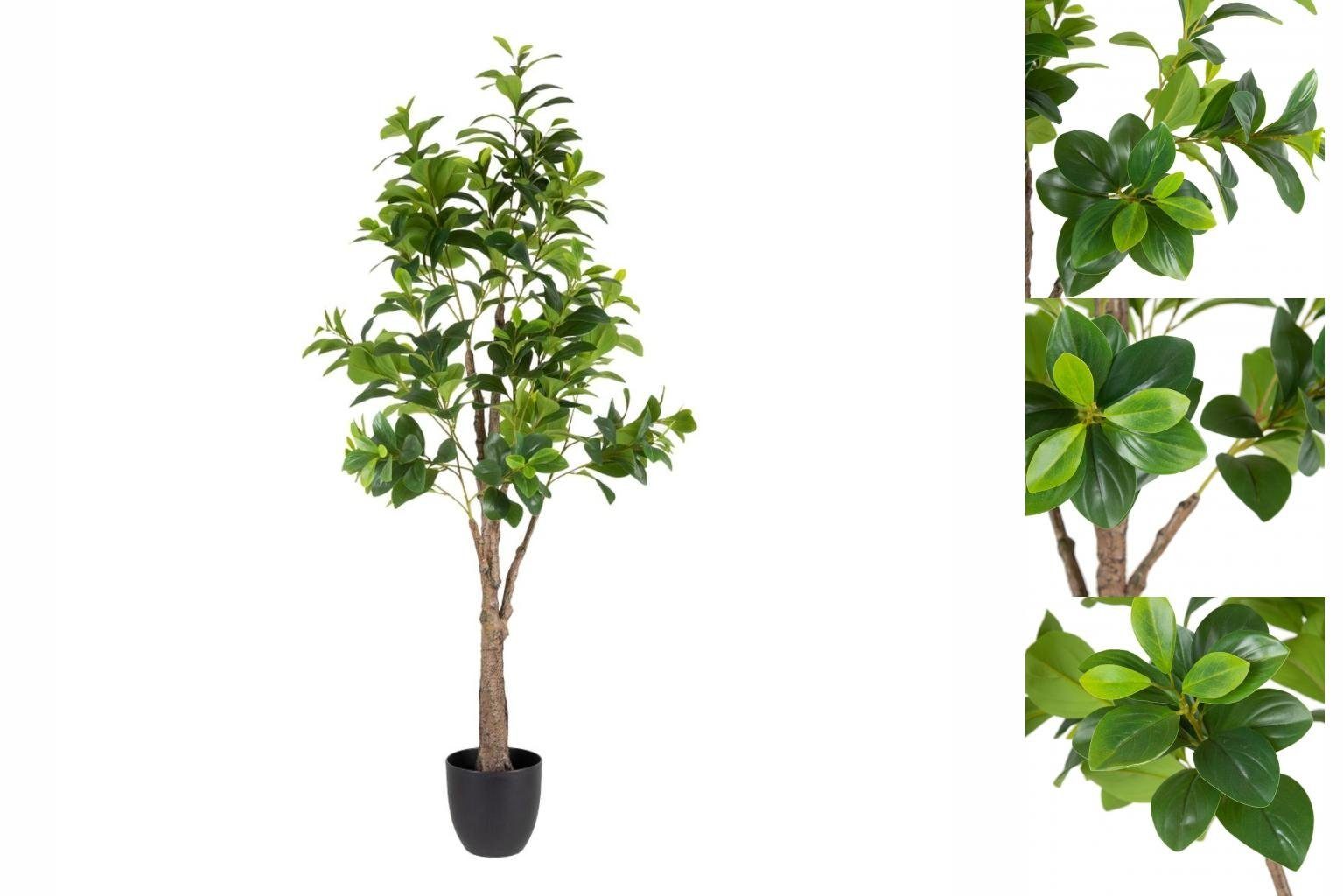 Künstliche Zimmerpflanze Dekorationspflanze grün PVC 145 cm Peperomia Künstliche Pflanze, Bigbuy, Höhe 19 cm