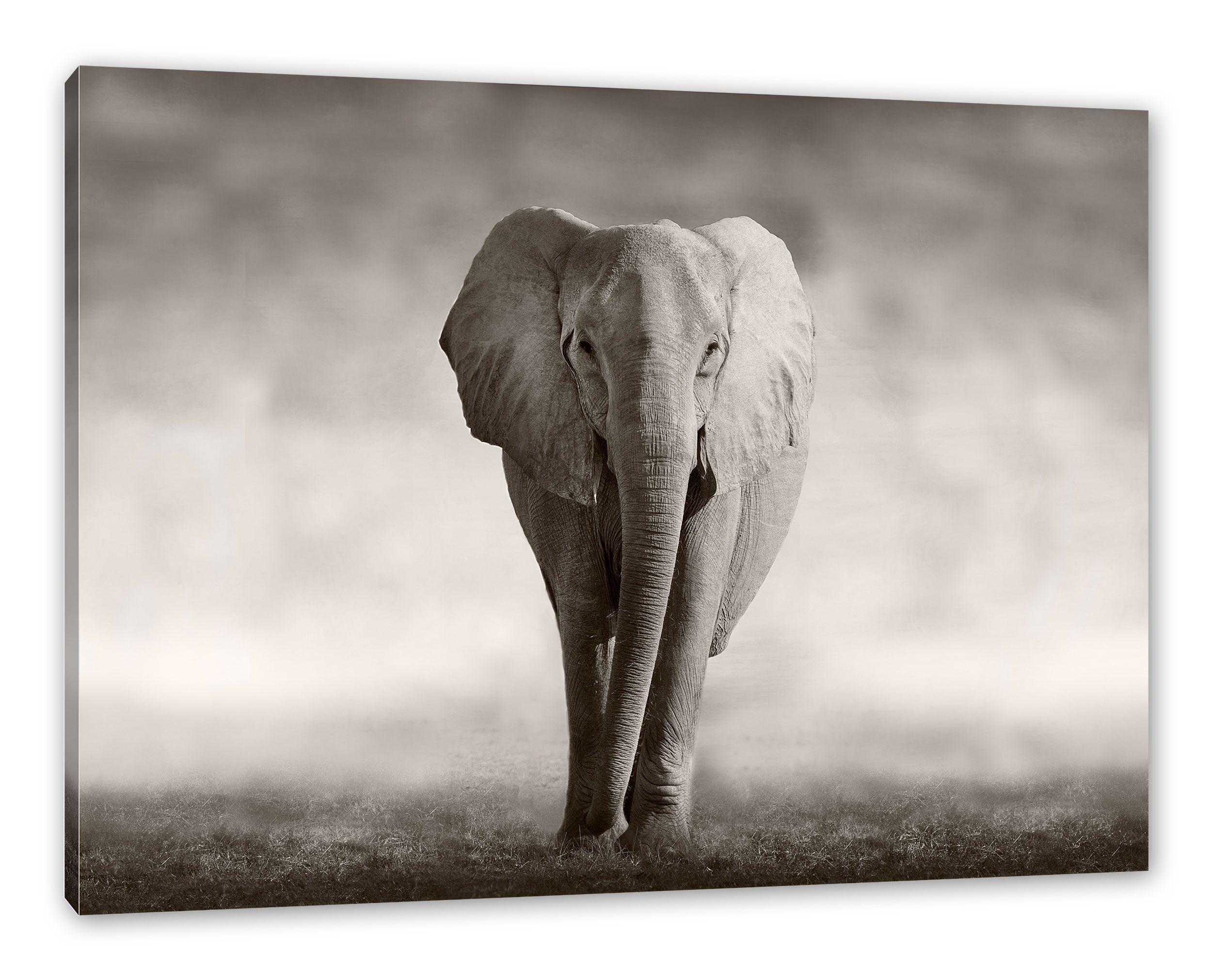Pixxprint Leinwandbild Einsamer Elefant, Einsamer fertig inkl. (1 bespannt, Zackenaufhänger Leinwandbild St), Elefant
