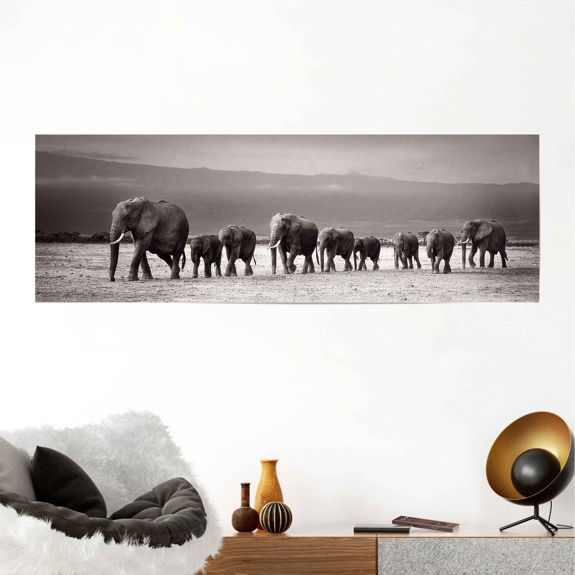 Elefantenherde (1 St) auf Reinders! Reise, Poster