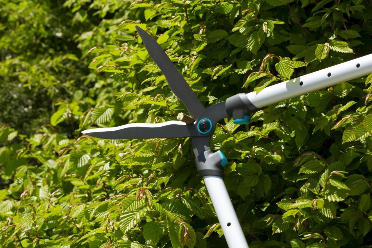 Thumbnail - GARDENA Astschere Gardena Heckenschere TeleCut