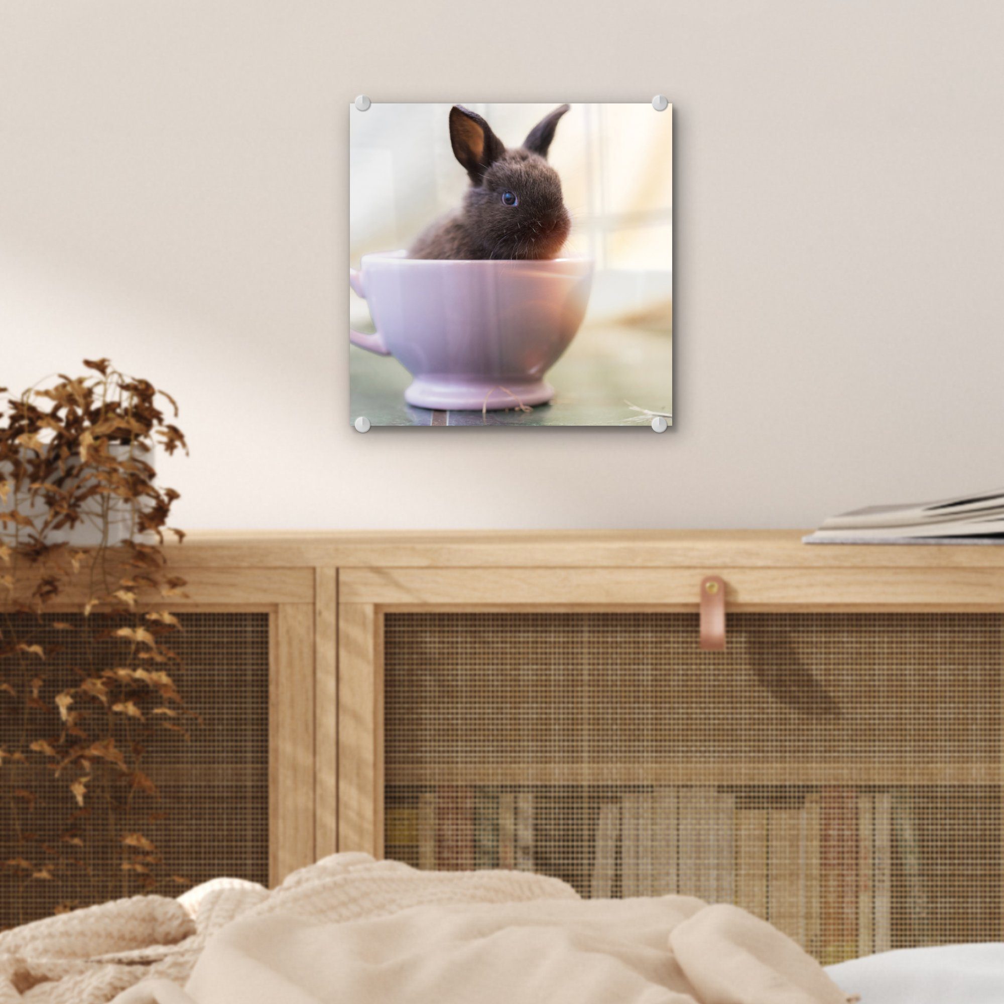 Kaninchen auf - - St), Wandbild - Acrylglasbild - Wanddekoration MuchoWow Glas auf Baby (1 Glasbilder Foto Bilder - Glas Teetasse,