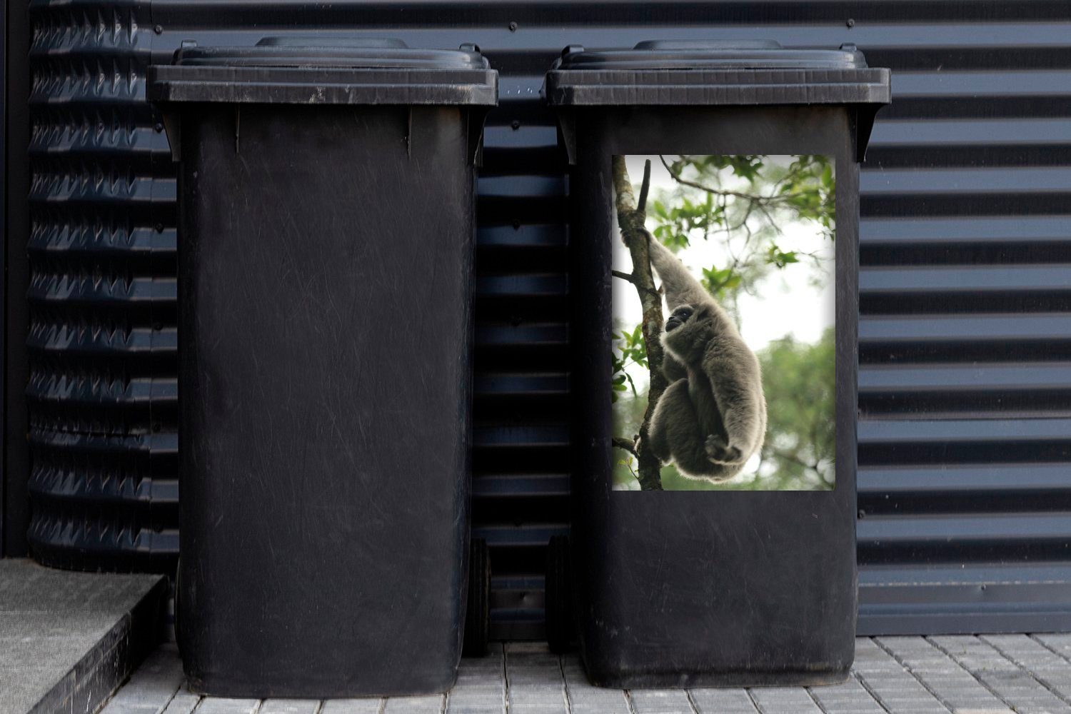 MuchoWow Wandsticker Affe in den in Nationalparks Abfalbehälter Pangrango Mülltonne, Gede Container, Sticker, Gunung des Mülleimer-aufkleber, St), (1 Wäldern