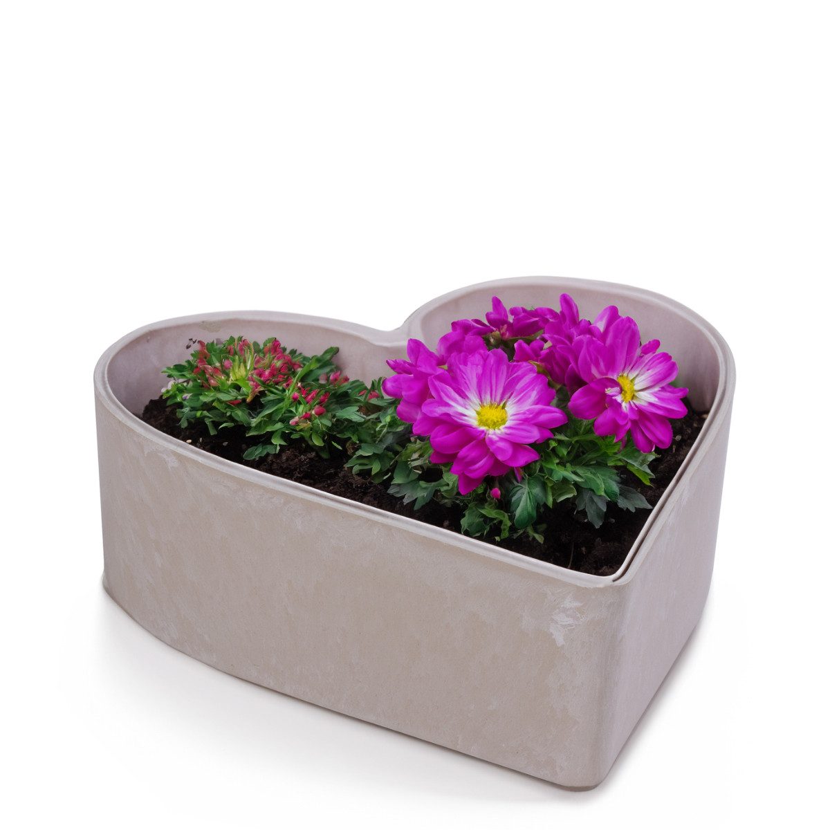 matches21 HOME & HOBBY Blumentopf Herz Pflanzschale für draussen Dekoschale sand beige 22 cm (1 St), Blumen-Schale als wetterfeste Friedhof-Schale Grab-Schmuck Grabschale