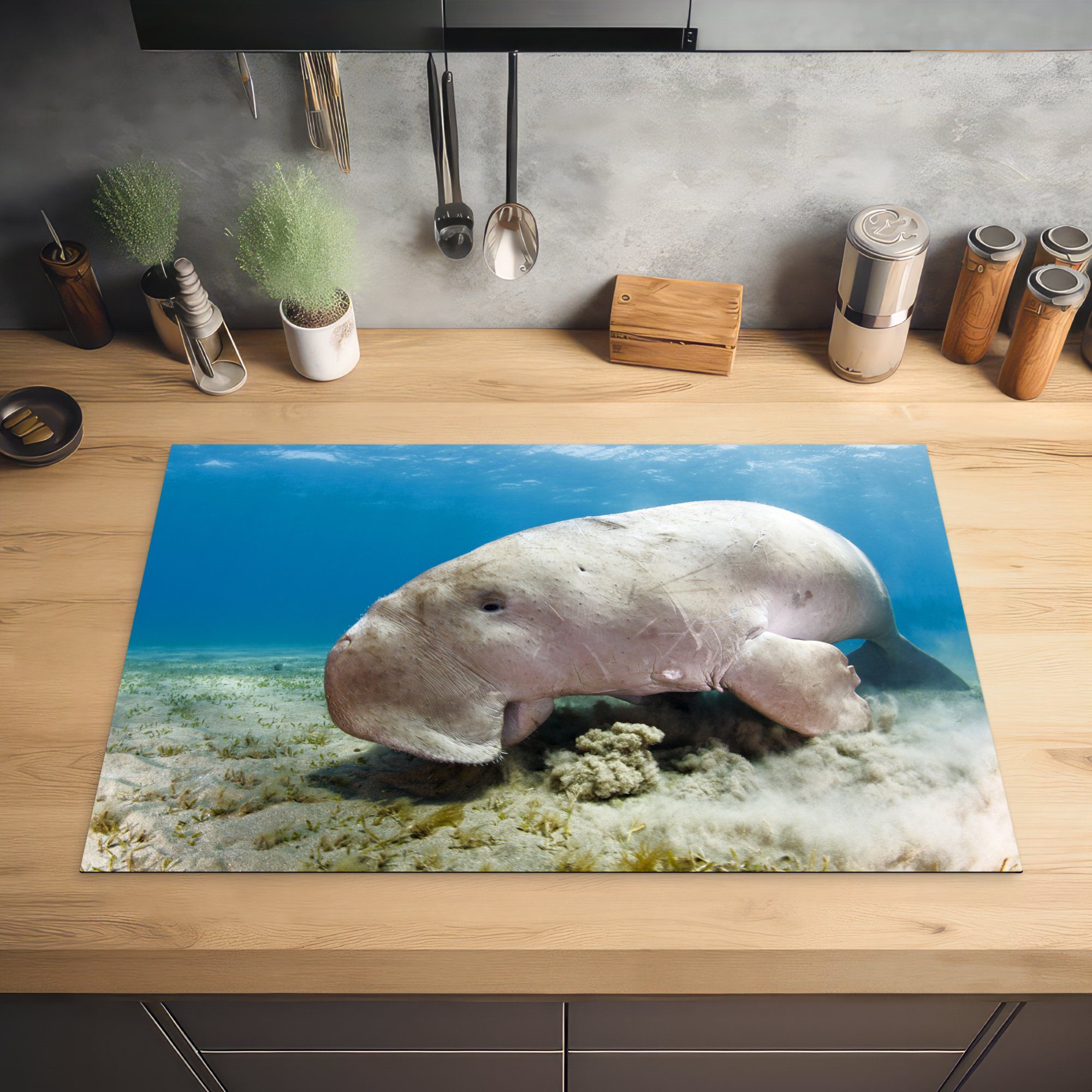 ernährt Schutz Induktionskochfeld Herdblende-/Abdeckplatte Dugong von für küche, Ein MuchoWow sich (1 81x52 Seegras, cm, Vinyl, tlg), Ceranfeldabdeckung die