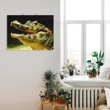 Artland Wandbild Ein lächelndes Krokodil, Wassertiere (1 St), als Poster, Wandaufkleber in verschied. Größen