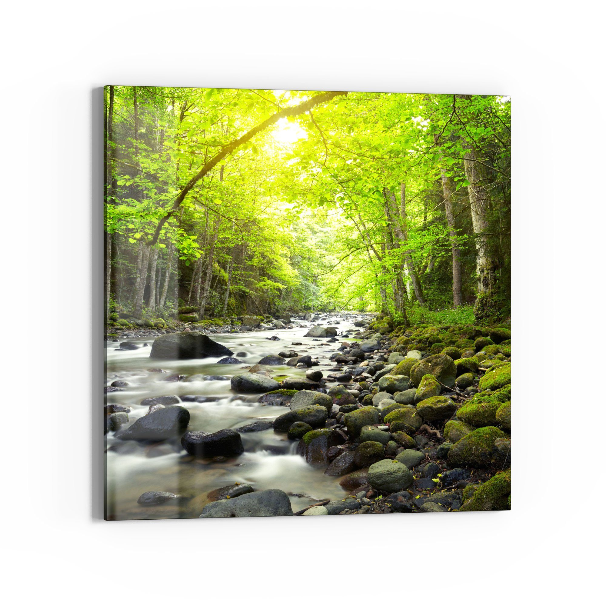 DEQORI Glasbild 'Steiniges Flussbett', 'Steiniges Flussbett', günstig online kaufen