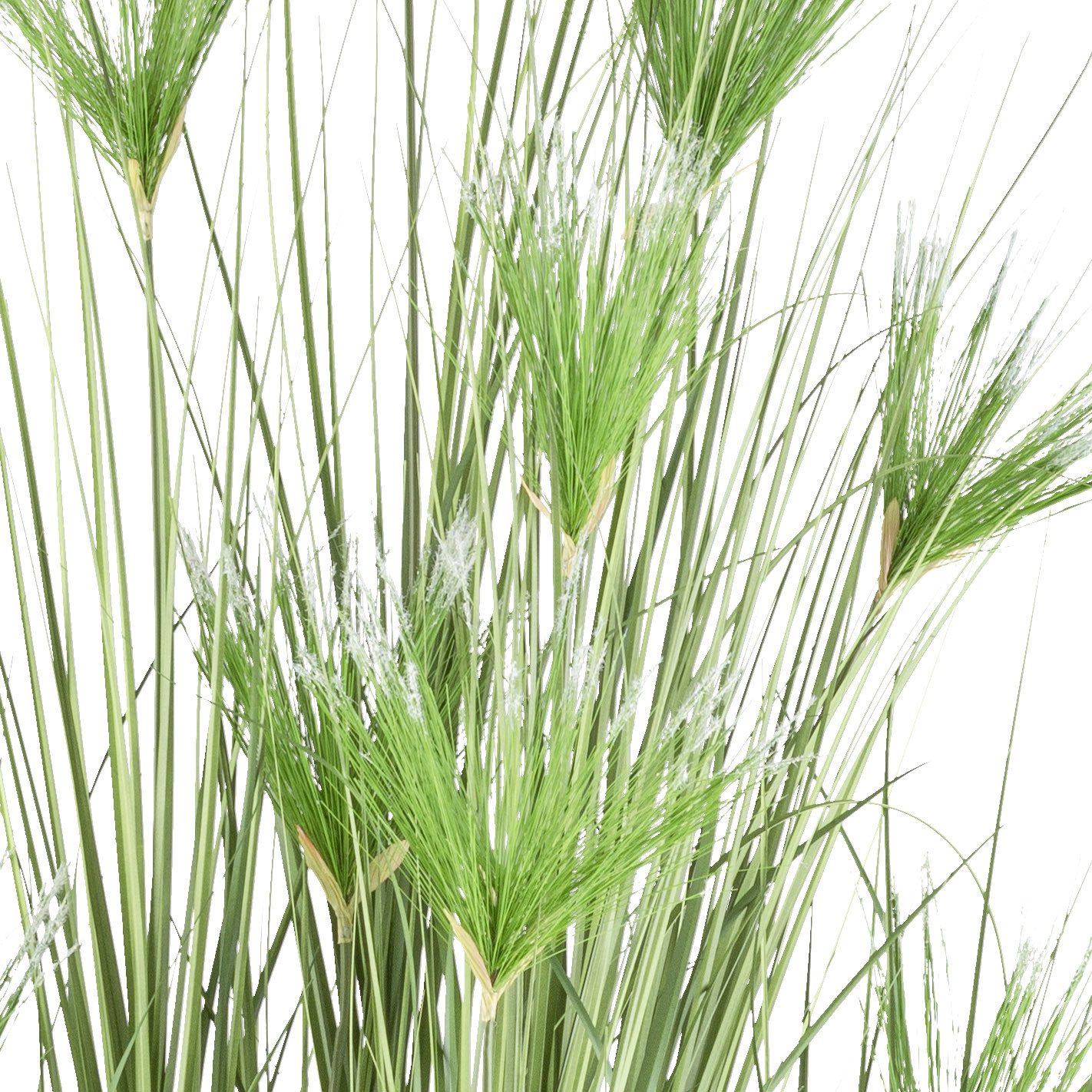 Kunstgras Zyperngras, Creativ green, Höhe 210 günstig online kaufen