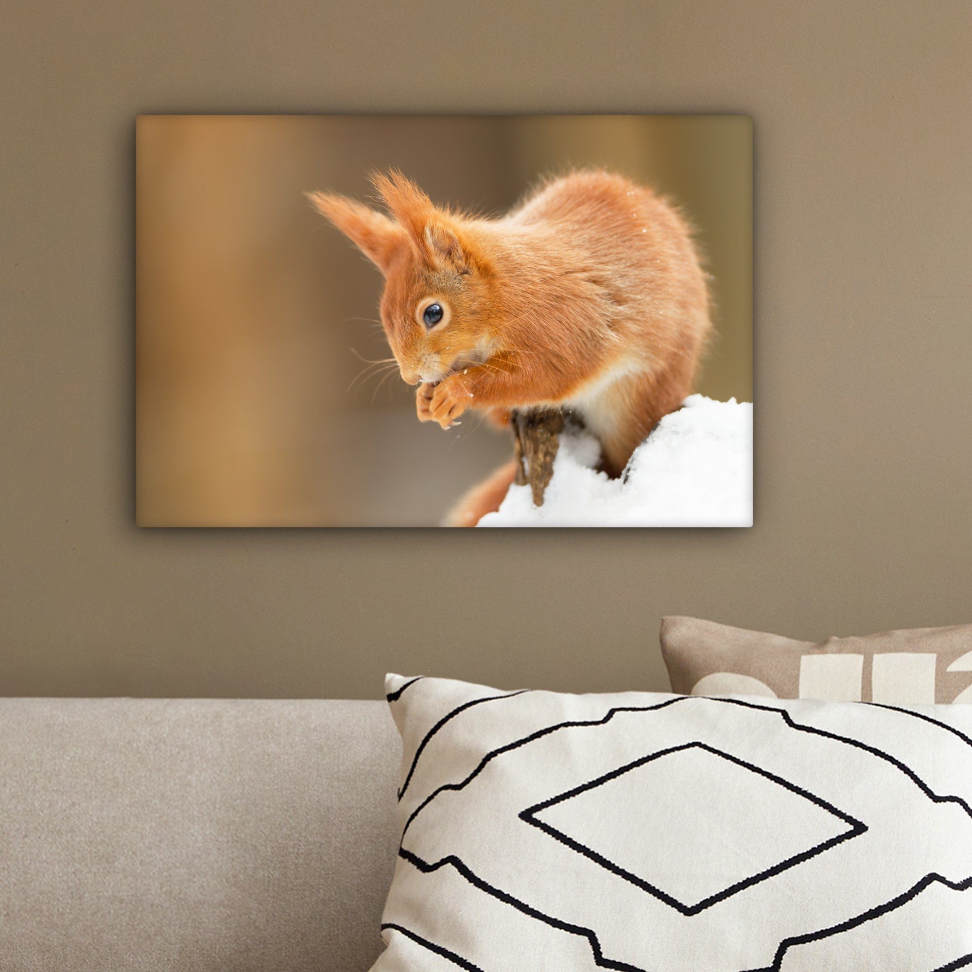 Wandbild mit Wanddeko, Leinwandbilder, 30x20 Farbe, cm Leinwandbild Eichhörnchen Aufhängefertig, (1 St), OneMillionCanvasses® roter