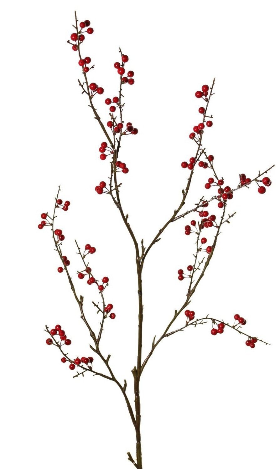 Kunstzweig Kunststoff Scheinbeeren Zweig SYLTAN mit Beeren, rot, 120cm Scheinbee im Vergleich