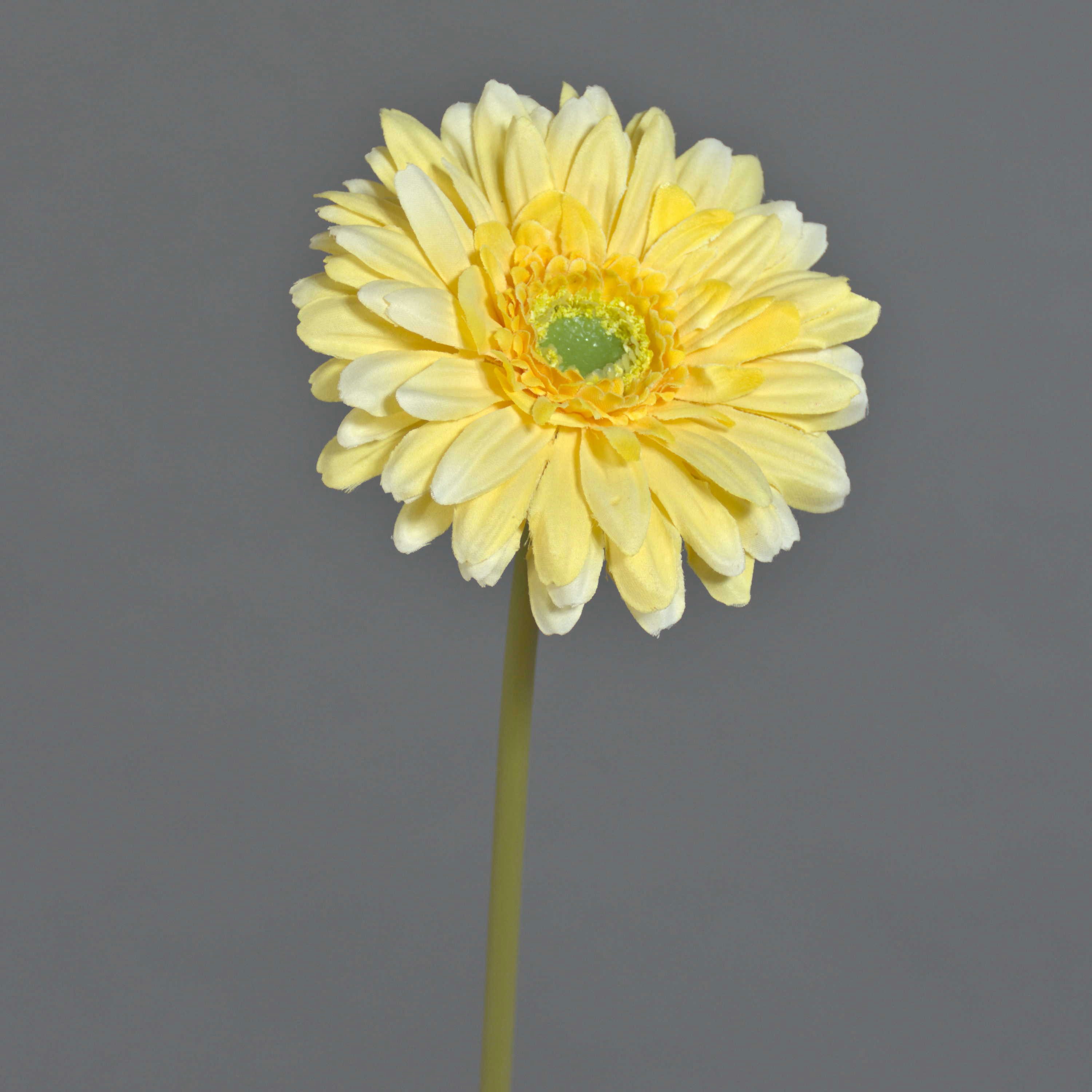 Kunstblume Künstliche Blume Gerbera QIUDONG, gelb, 50 cm Gerbera, artplants, Höhe 50.0 cm