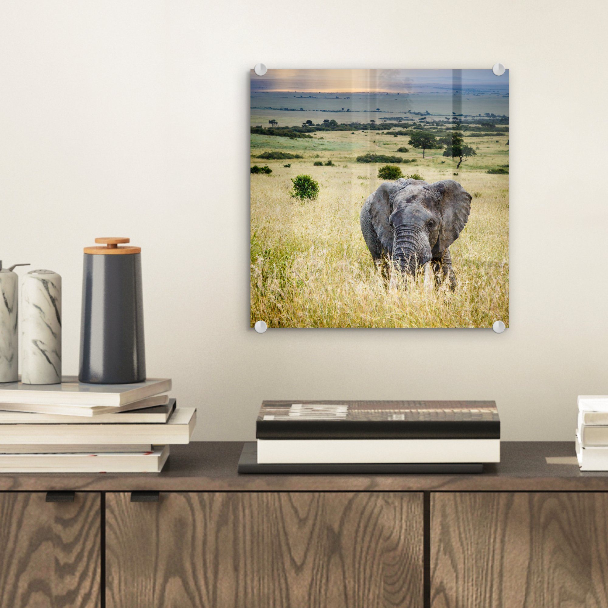 MuchoWow Acrylglasbild - Sonne Elefant - (1 Glas Wanddekoration - Glasbilder auf - auf Landschaft St), Wandbild Bilder - - - Glas Foto Tiere Natur