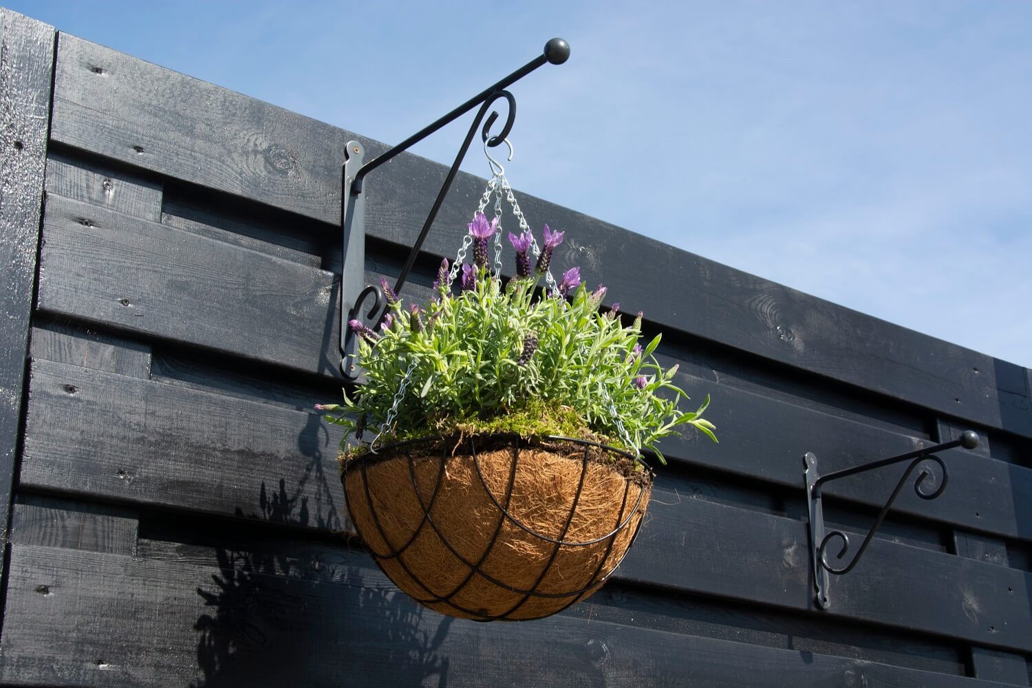 esschert design Wandhaken Hanging Basket Haken günstig online kaufen