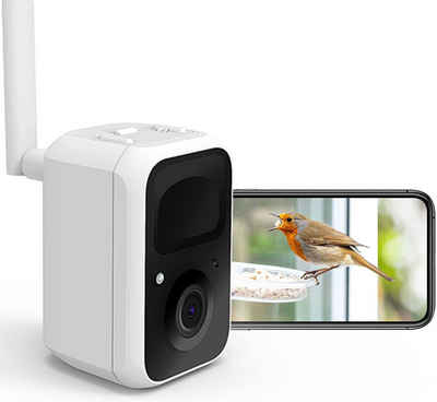 YI Feeder-Kamera,Smart AI-Vogelfutterstation,Vogelkamera Farbnachtsicht Wildkamera
