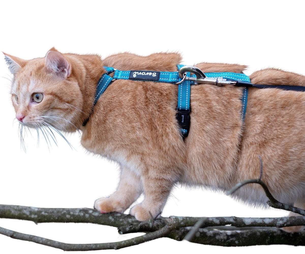 Beroni Sicherheitsgeschirr Katzengeschirr Beroni Safety Harness Pro ausbruc günstig online kaufen