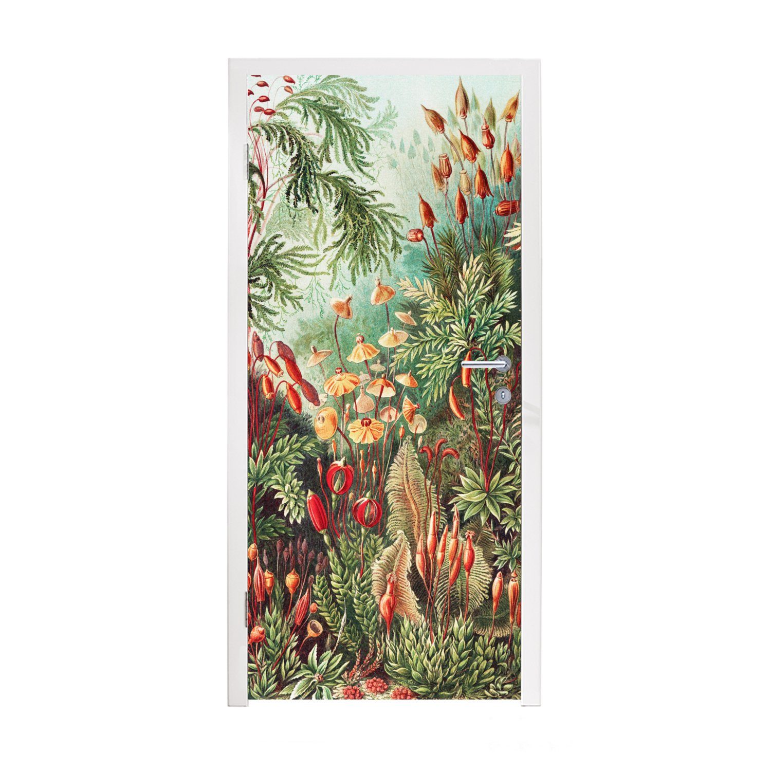 MuchoWow Türtapete Blumen - Kunst - Vintage - Natur - Botanisch, Matt, bedruckt, (1 St), Fototapete für Tür, Türaufkleber, 75x205 cm