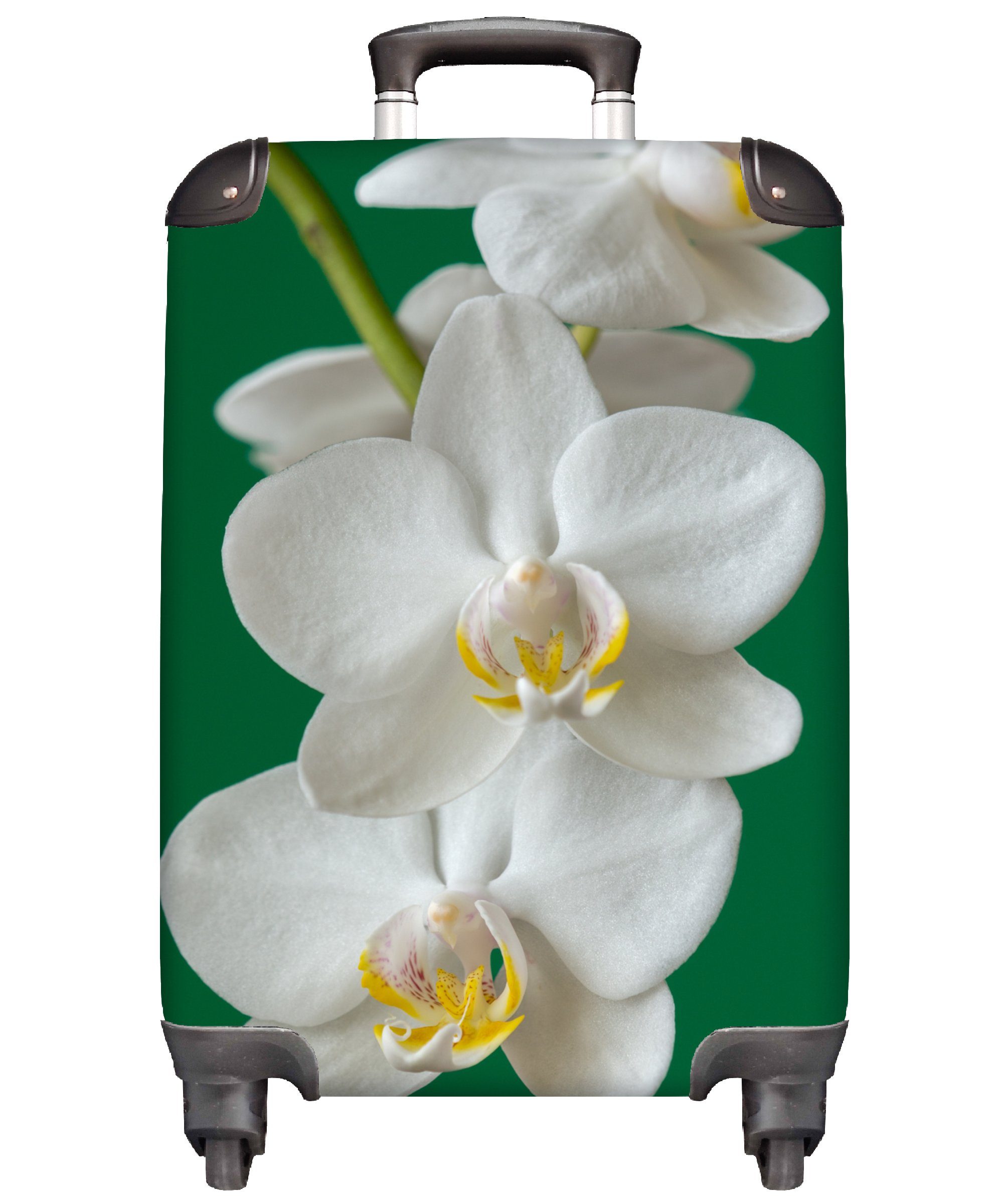 MuchoWow Handgepäckkoffer Orchidee mit grünem Hintergrund, 4 Rollen, Reisetasche mit rollen, Handgepäck für Ferien, Trolley, Reisekoffer