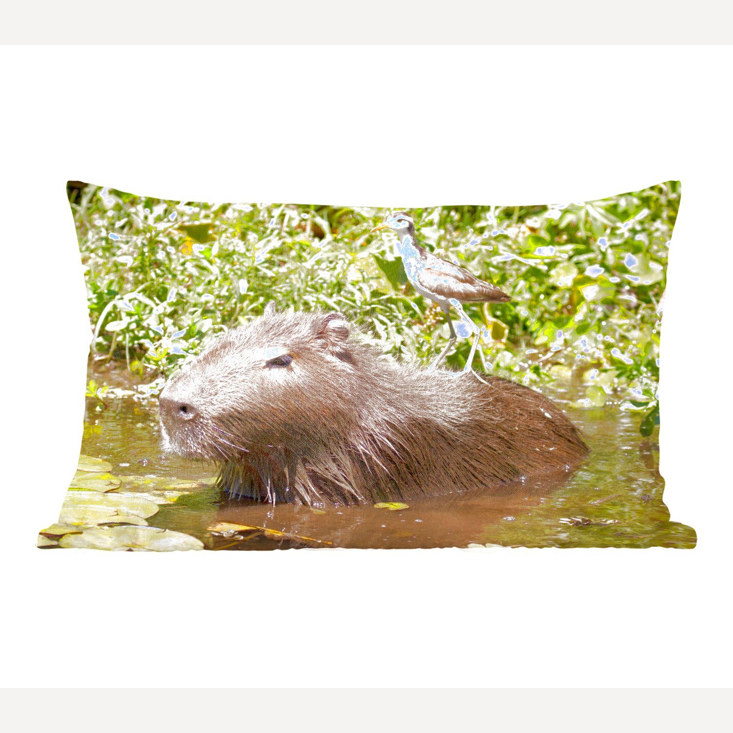 MuchoWow Dekokissen Ein Wasserschwein sitzt im Wasser mit einem Vogel darauf, Wohzimmer Dekoration, Zierkissen, Dekokissen mit Füllung, Schlafzimmer