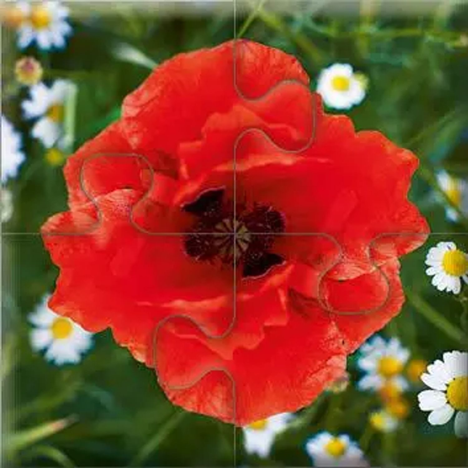 Puzzle Das "Gelingt-immer"-Puzzle Wiesenblumen, Puzzleteile