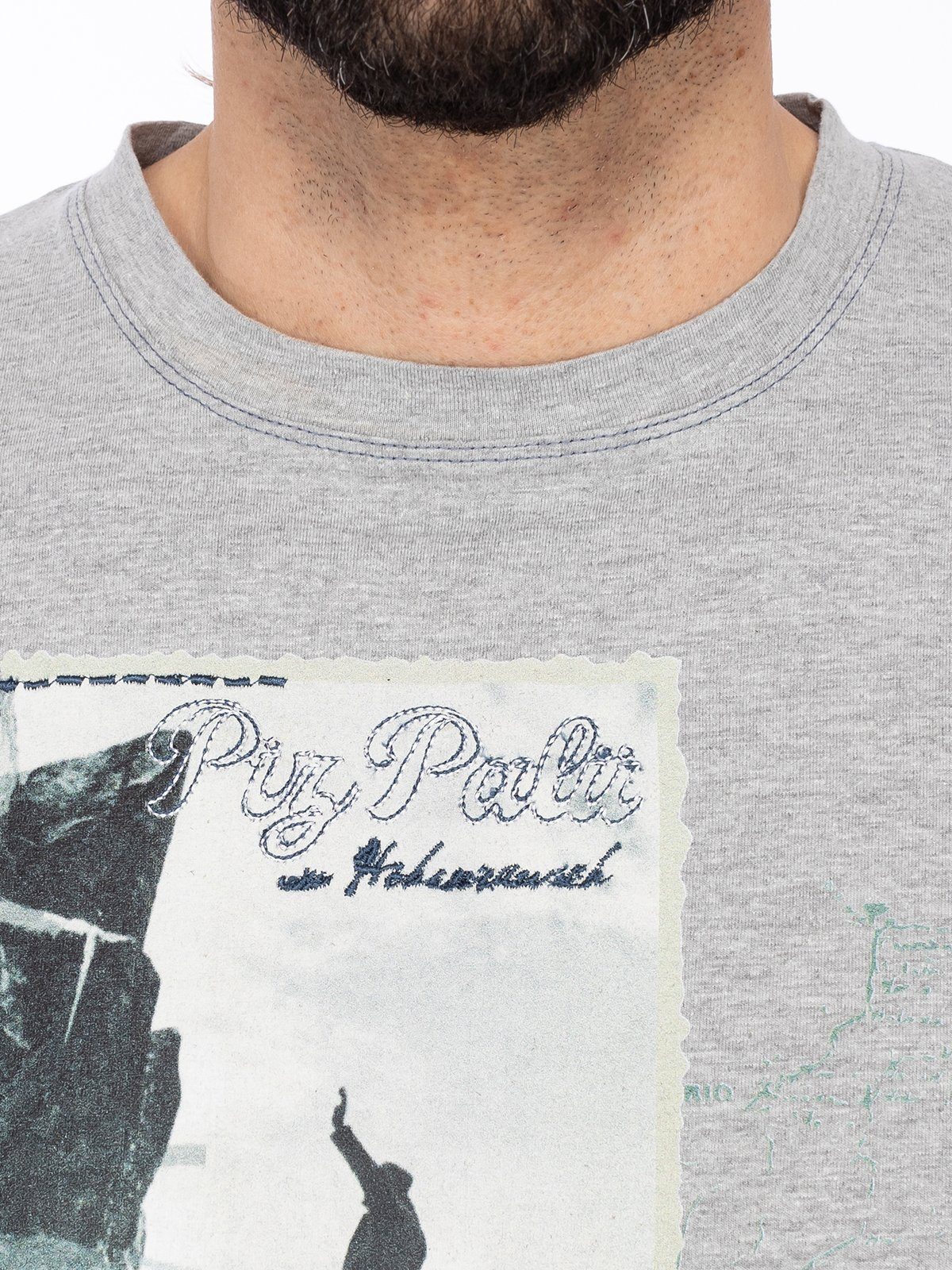 Herren Palü Piz Trachtenshirt kiesel TRAUSNITZ T-Shirt