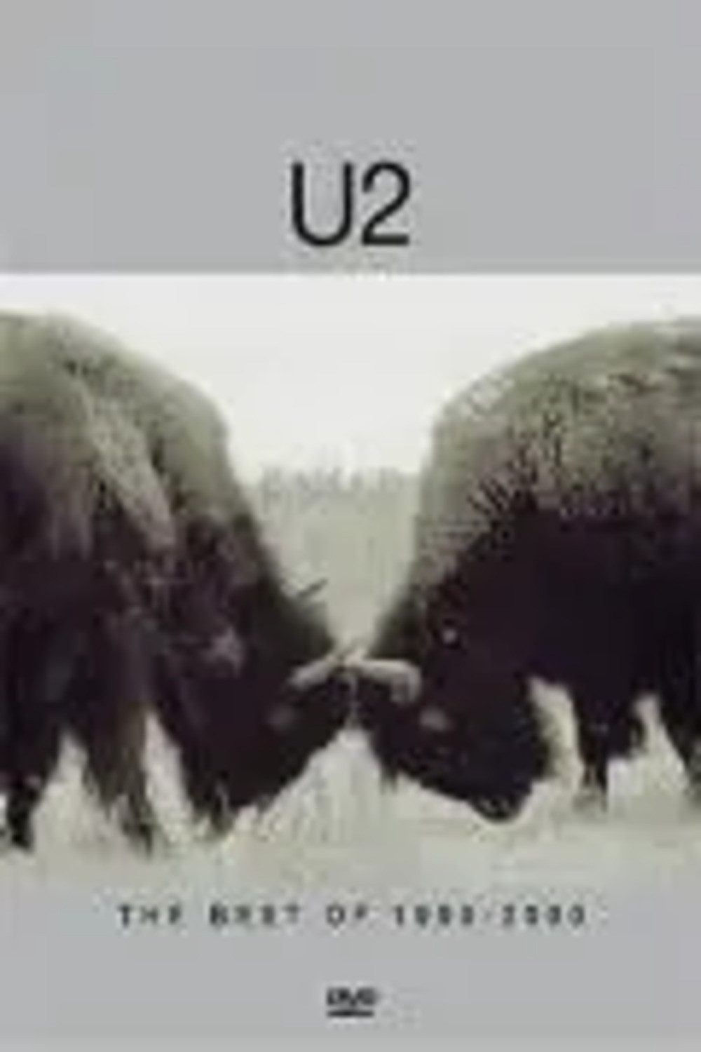 DVD Best Of 1990-2000