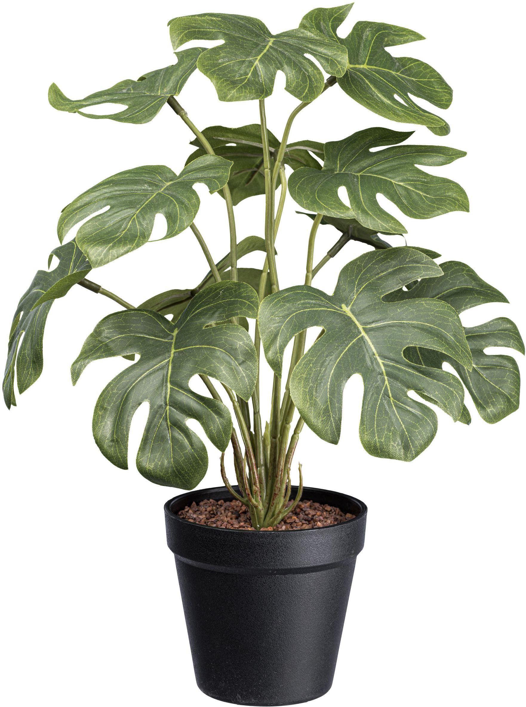 Künstliche Zimmerpflanze Splitphilodendron Grünpflanze, Creativ green, Höhe 38 cm, mit schönen Blättern