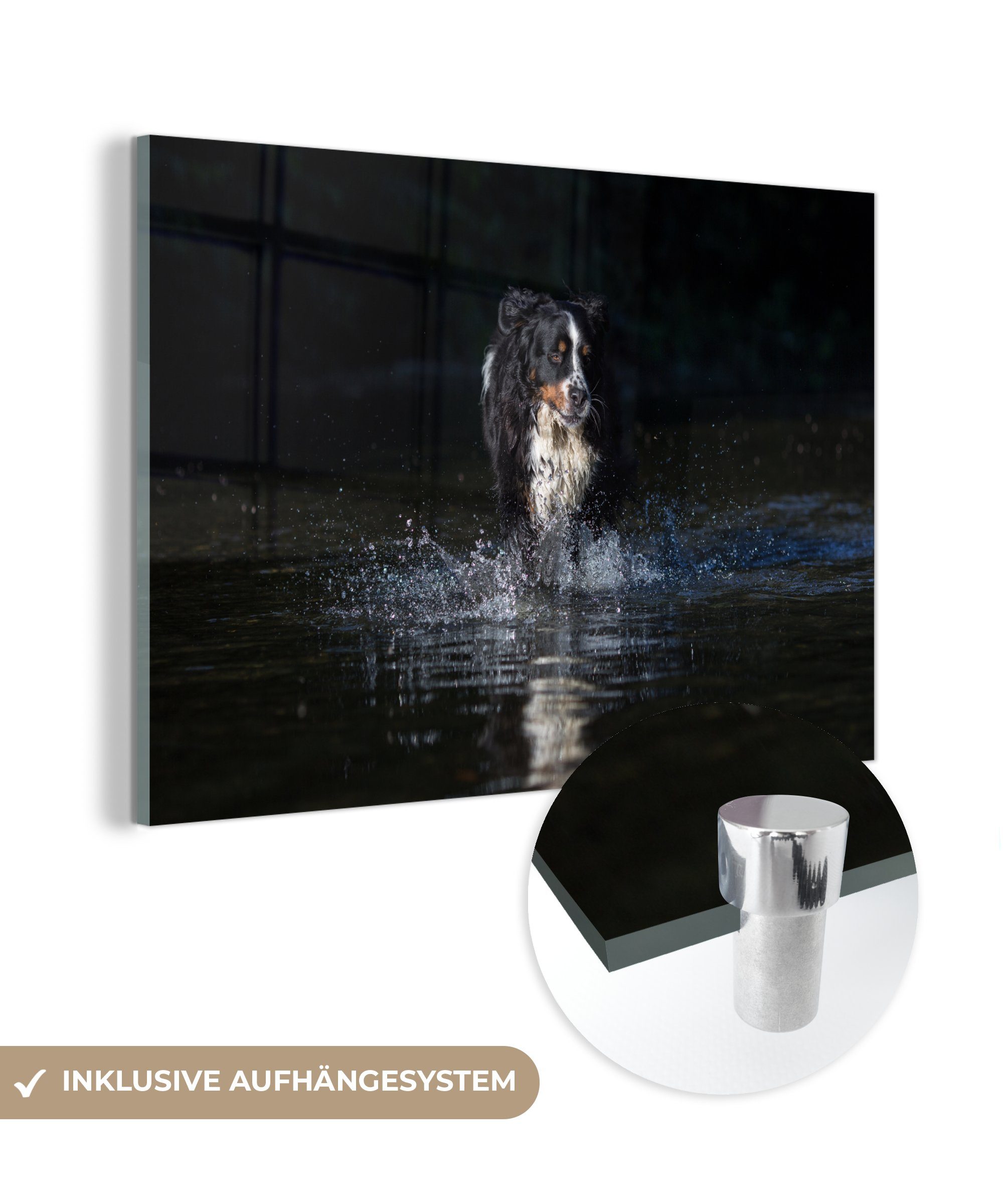 & Schlafzimmer schwarzem im auf St), Acrylglasbild (1 MuchoWow Hund Wohnzimmer Acrylglasbilder Wasser Hintergrund,