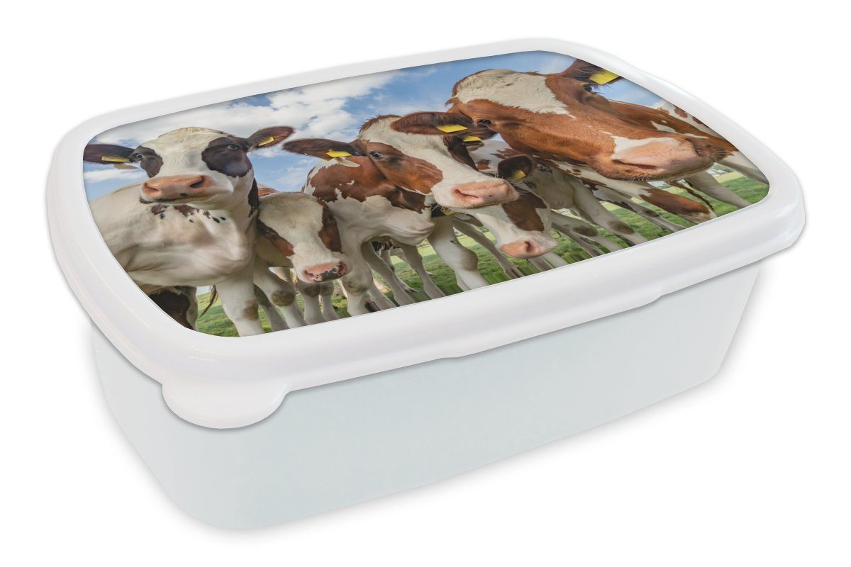 MuchoWow Lunchbox Kühe - Tiere - Wiese - Natur, Kunststoff, (2-tlg), Brotbox für Kinder und Erwachsene, Brotdose, für Jungs und Mädchen weiß
