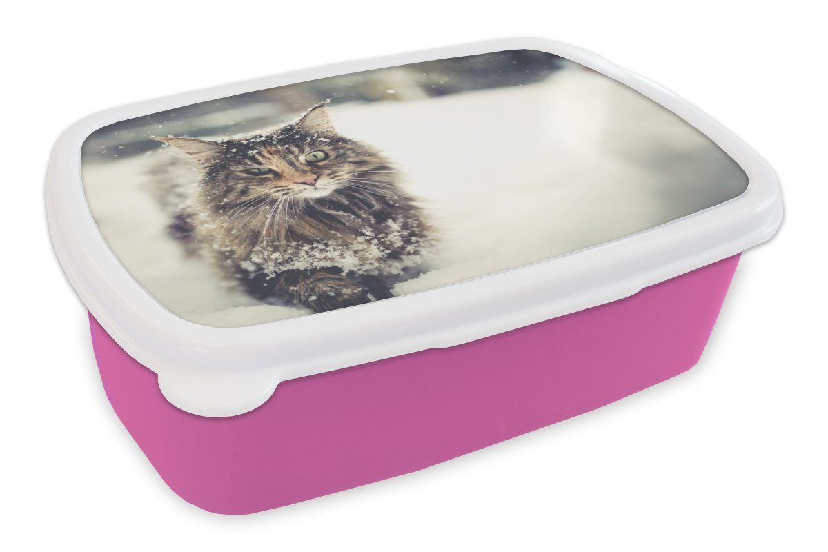 MuchoWow Lunchbox Katze - Schnee - Tiere, Kunststoff, (2-tlg), Brotbox für Erwachsene, Brotdose Kinder, Snackbox, Mädchen, Kunststoff rosa