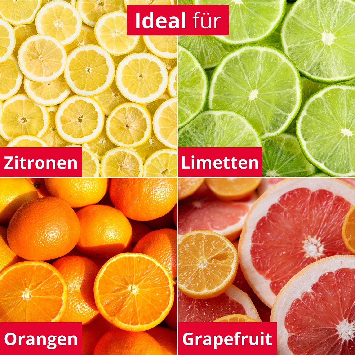 WESTMARK Zitruspresse Fassungsvermögen: 250 ml, Glas, Transparent – Bild 4 von 5