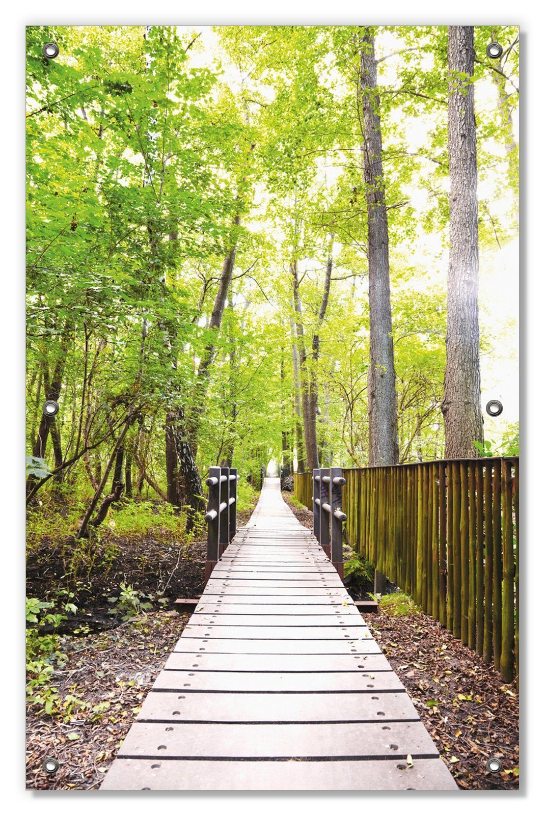 Sonnenschutz Spaziergang im Wald Holzweg über einen Fluss, Wallario, blickdicht, mit Saugnäpfen, wiederablösbar und wiederverwendbar