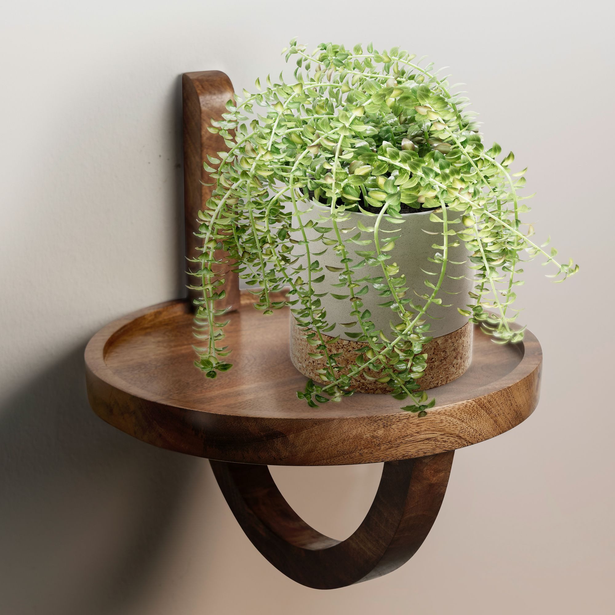 FINEBUY Wandregal FB98604 Hängeregal 30x33x30 cm Massivholz Nachttisch Wand günstig online kaufen